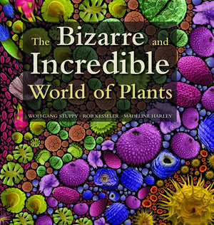 The Bizarre And Incredible World Of Plants