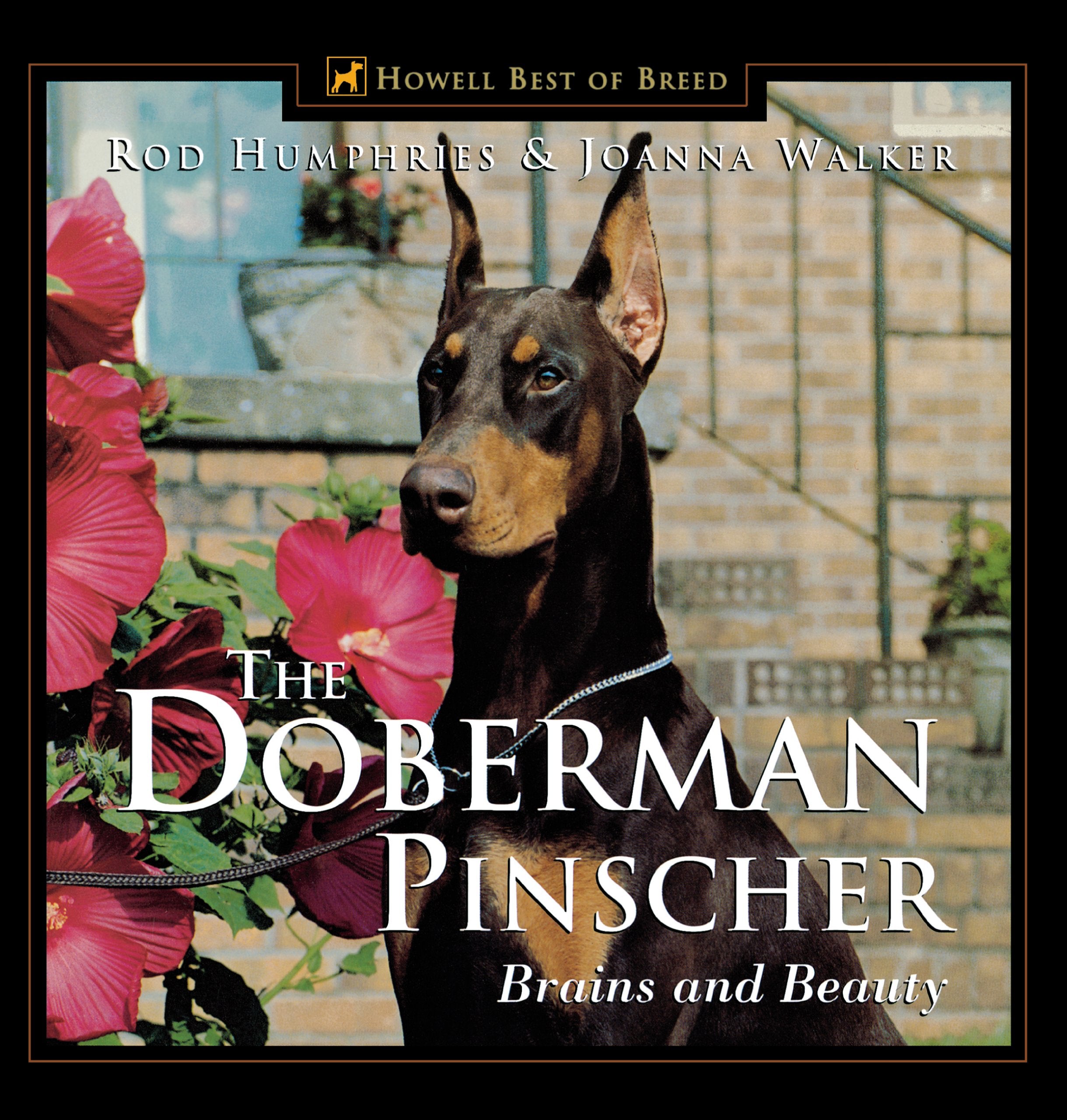 The Doberman Pinscher,Used