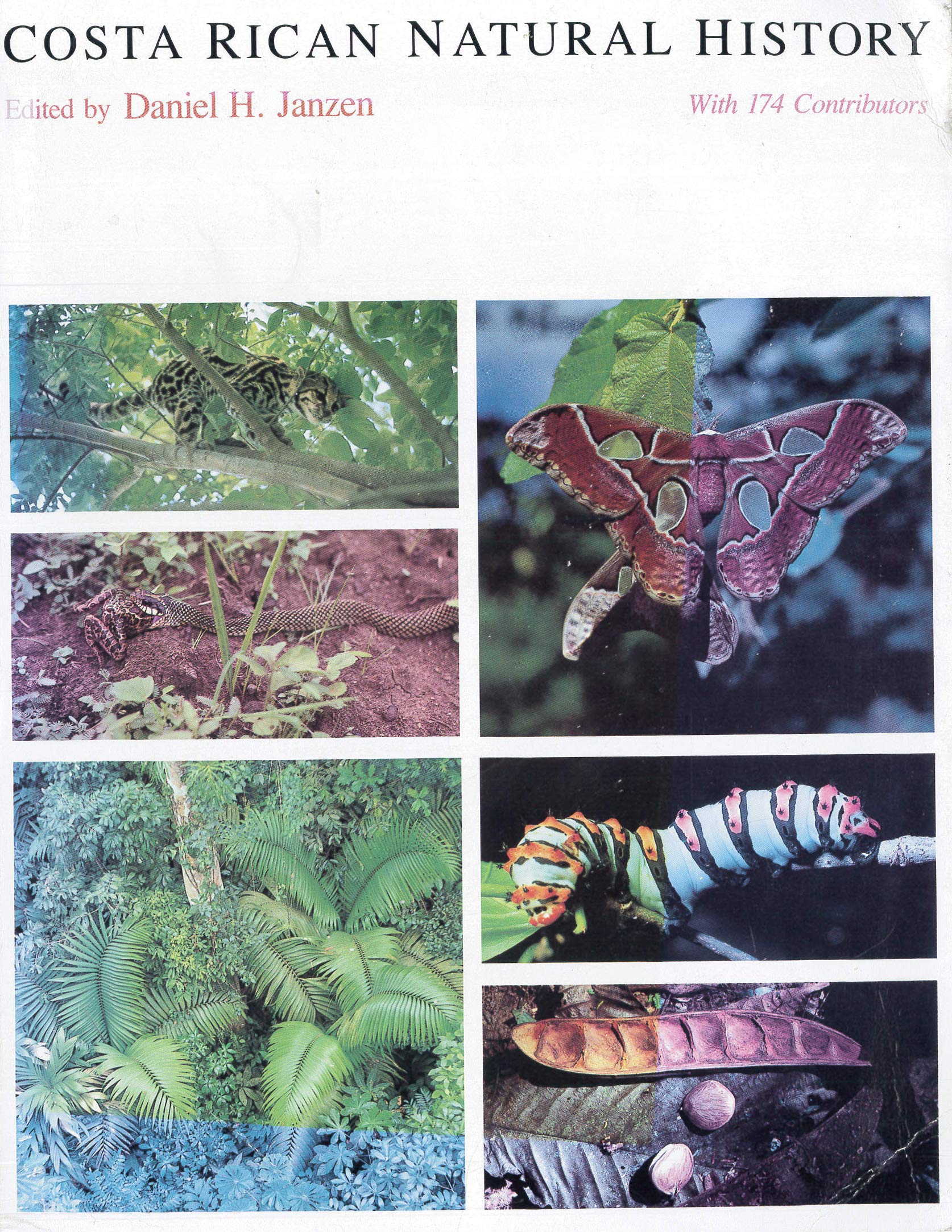 Costa Rican Natural History,Used