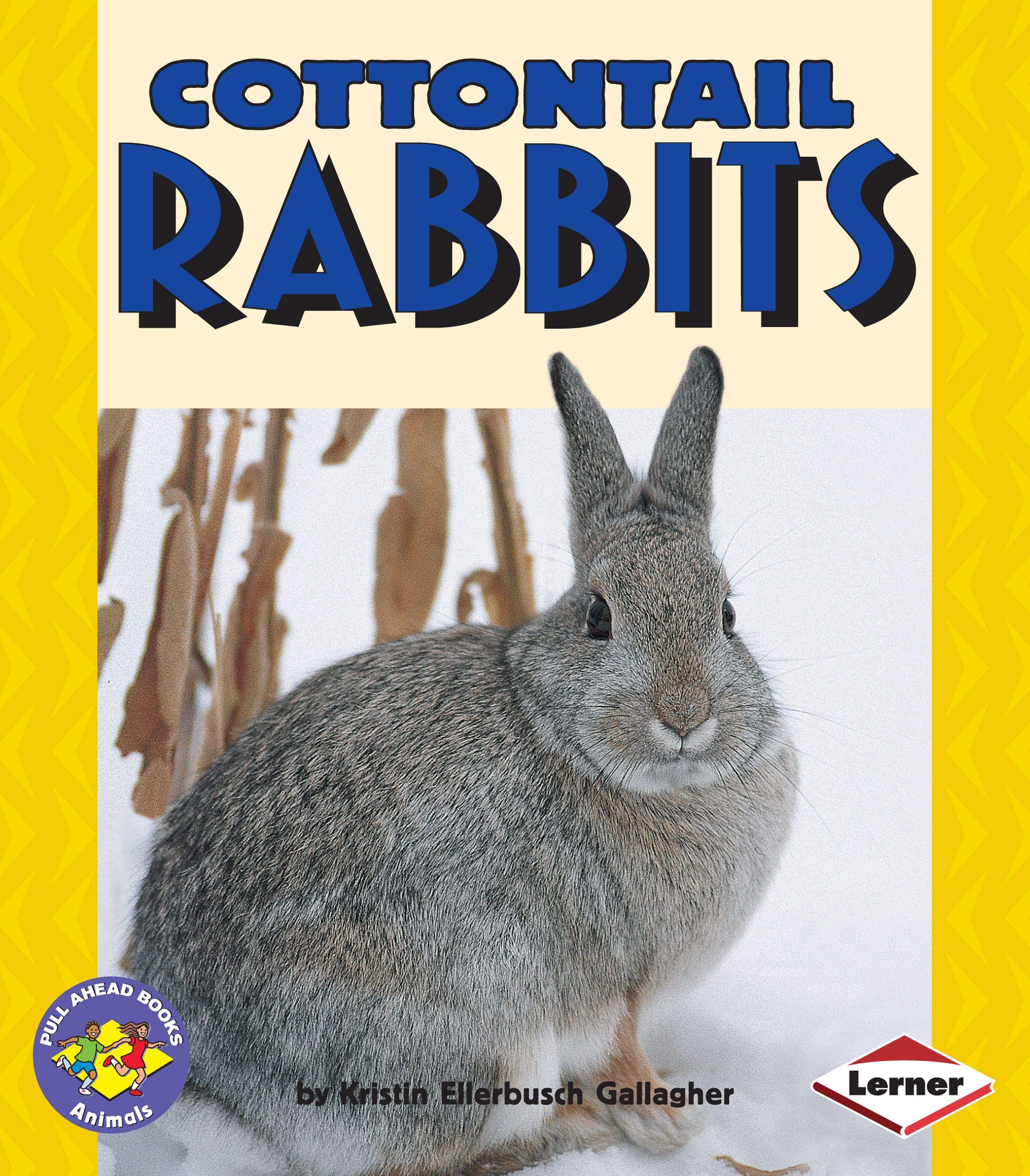 Cottontail Rabbits (Pull Ahead Books  Animals),Used