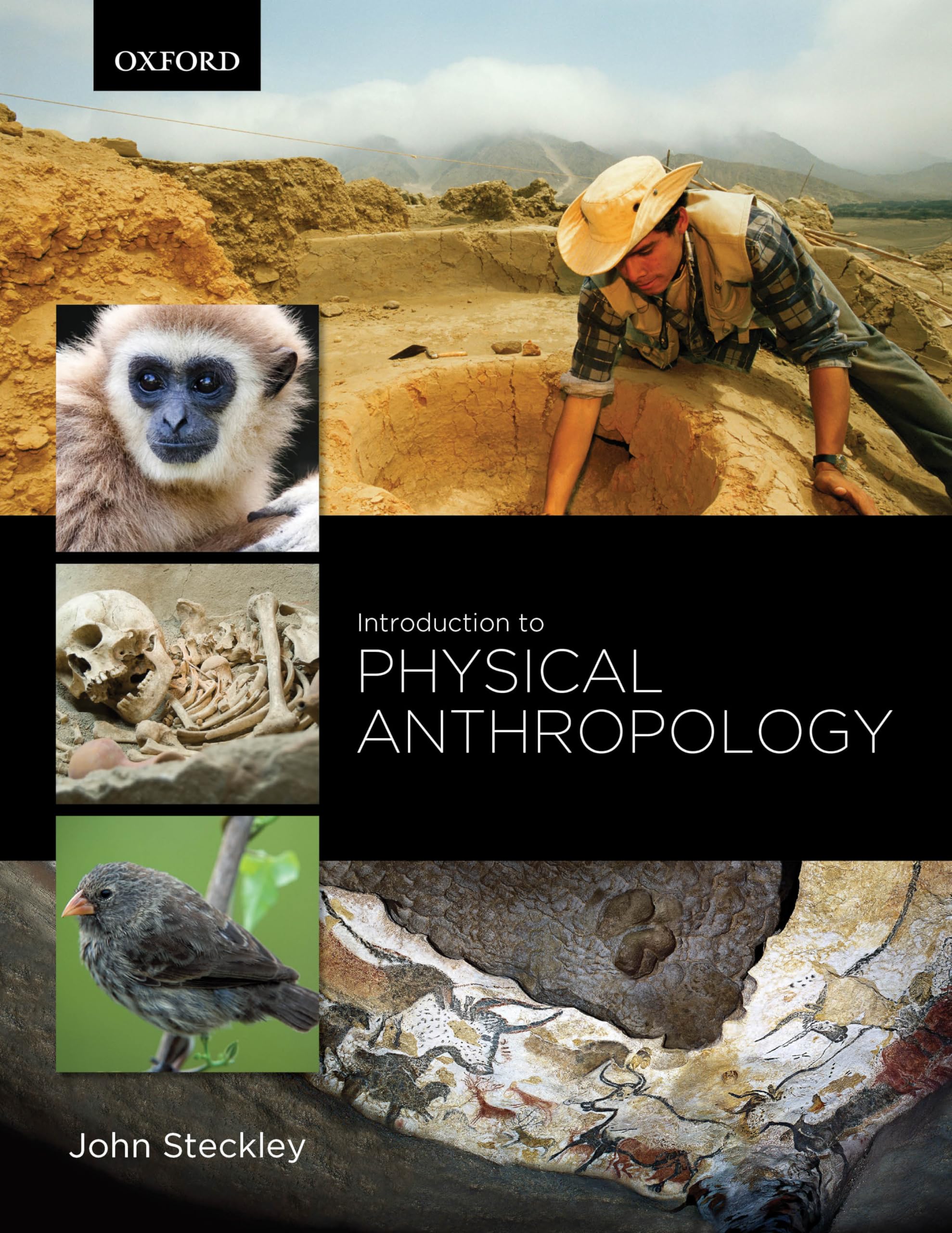 Introduction To Physical Anthropology
