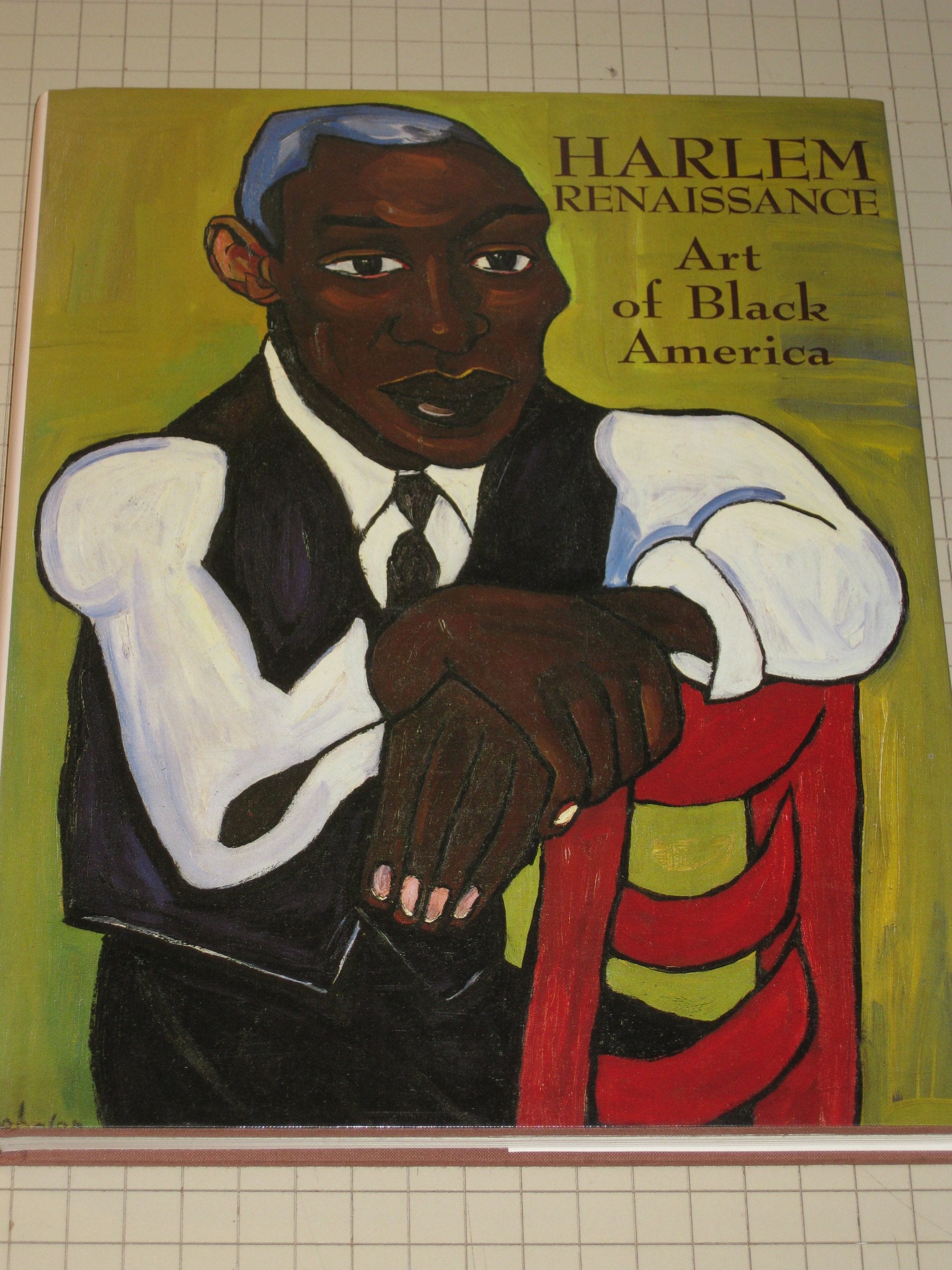Harlem Renaissance: Art of Black America,Used