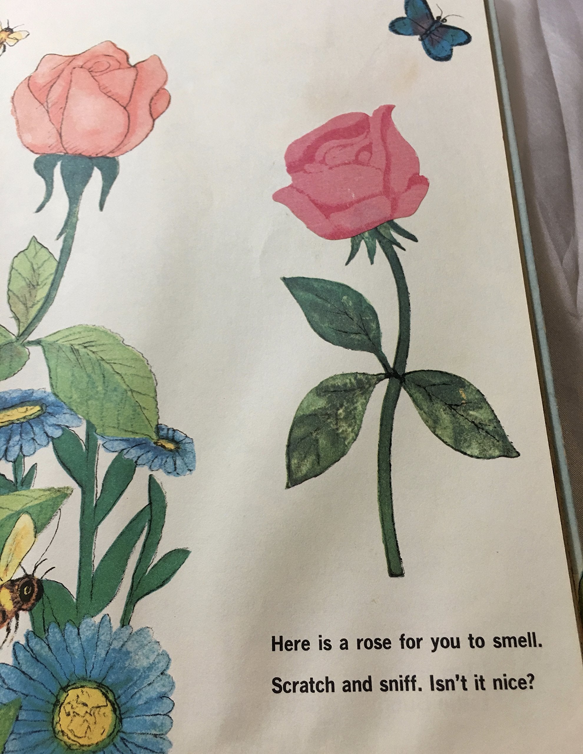 Little Bunny Follows His Nose,Used