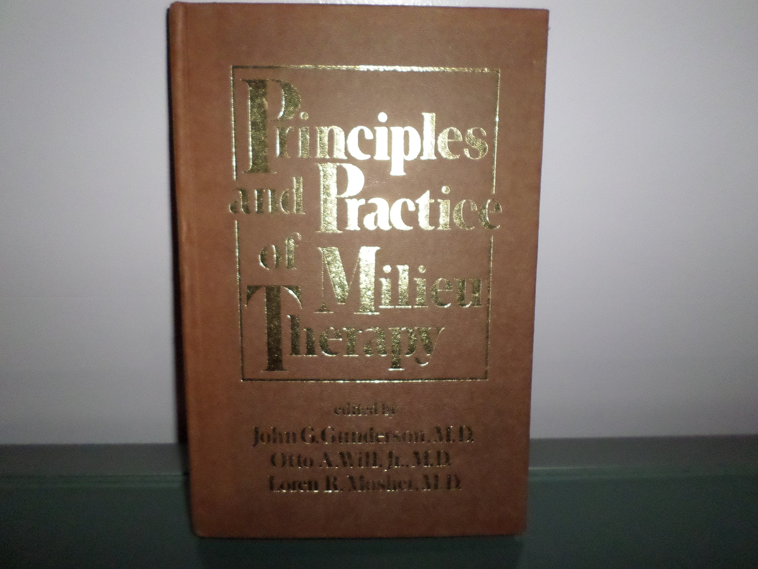 Principles And Practice Of Milieu Therapy-new