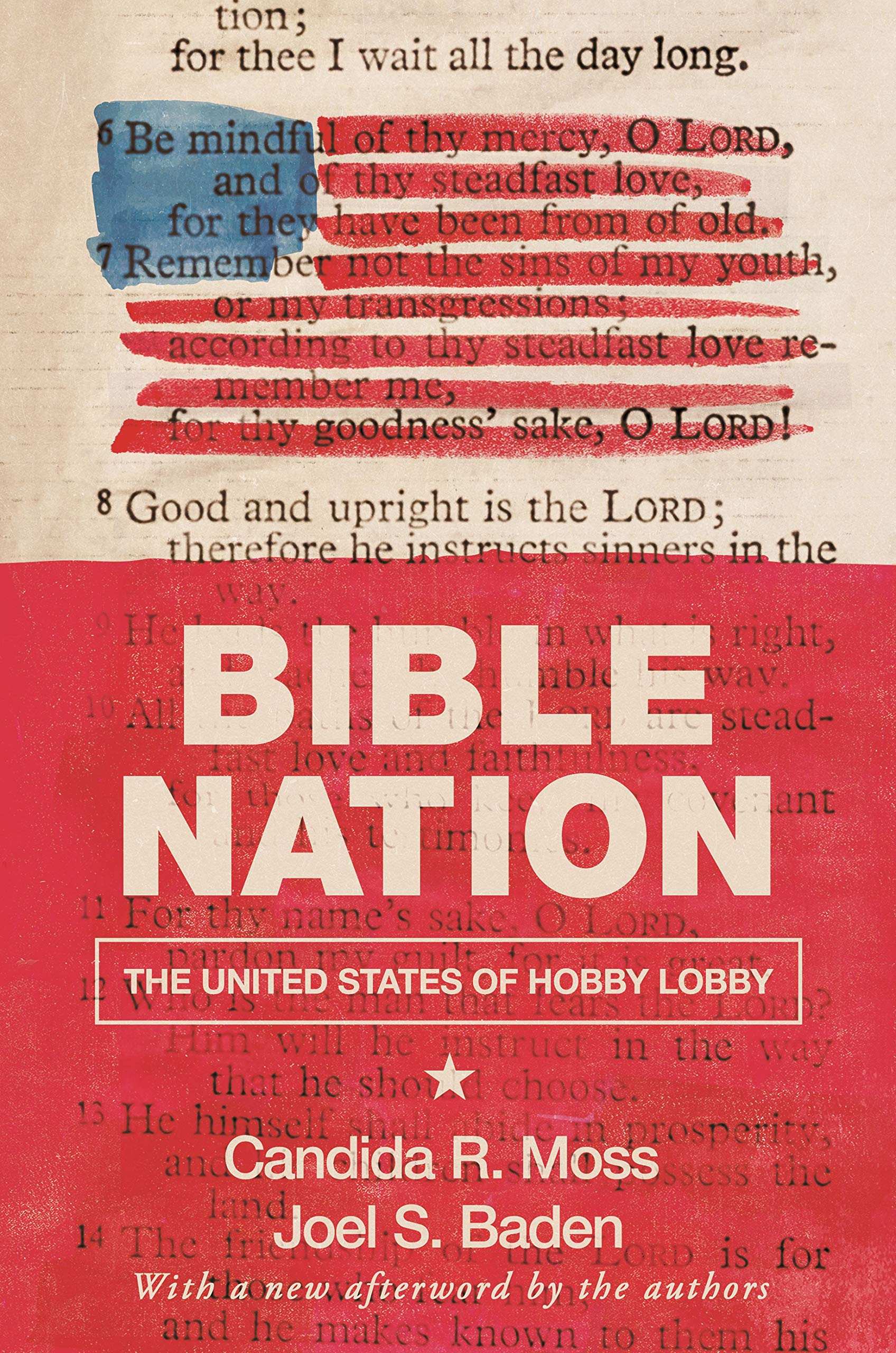 Bible Nation: The United States of Hobby Lobby,New