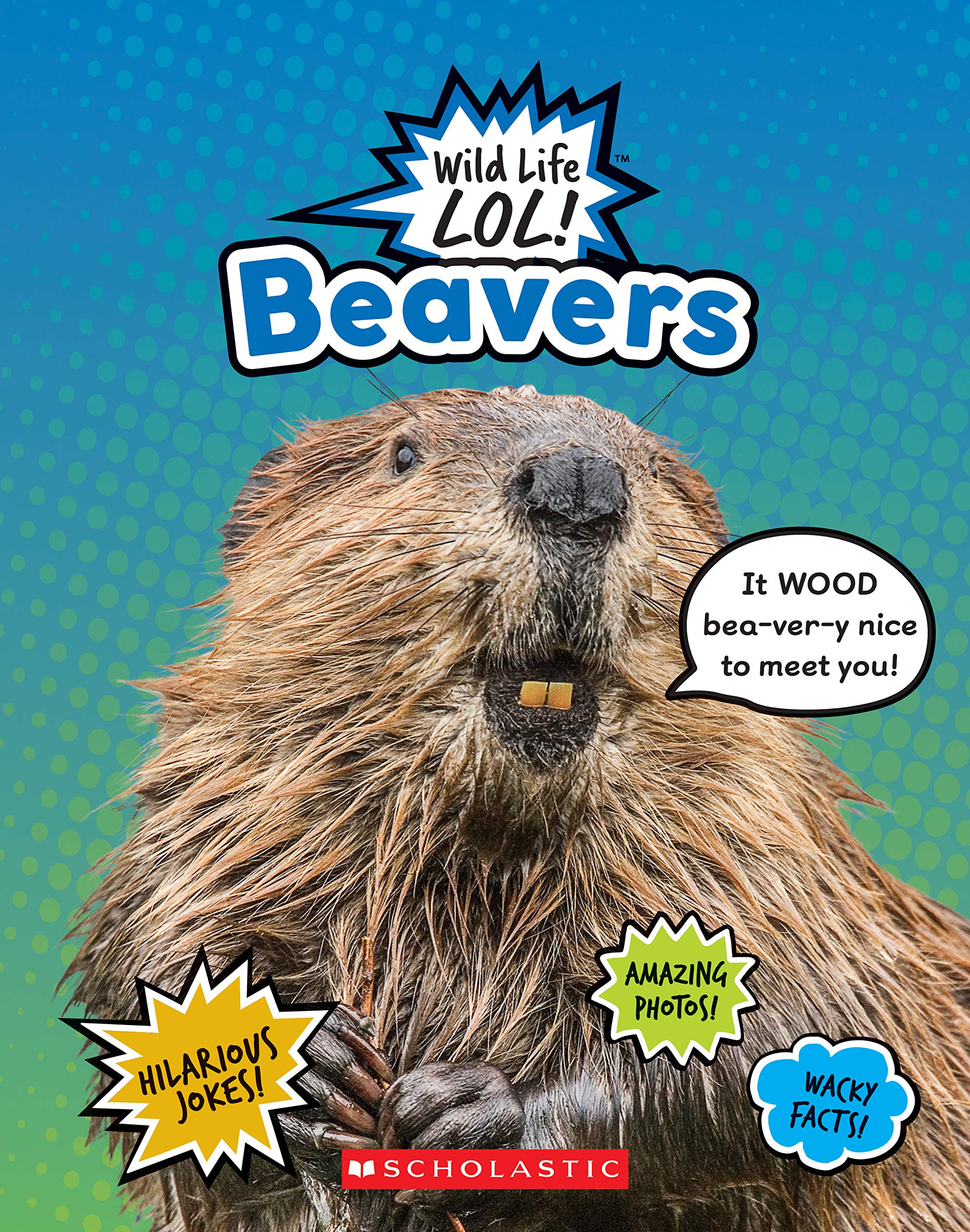 Beavers (Wild Life Lol!)-new