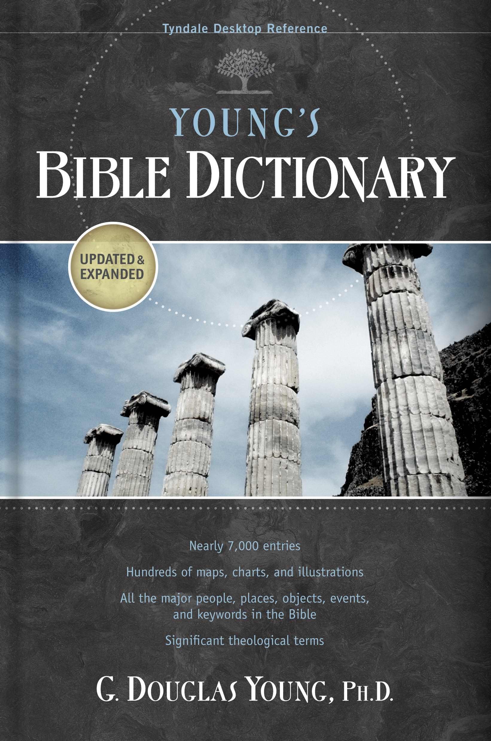 Young's Bible Dictionary (Tyndale Desktop Reference),Used