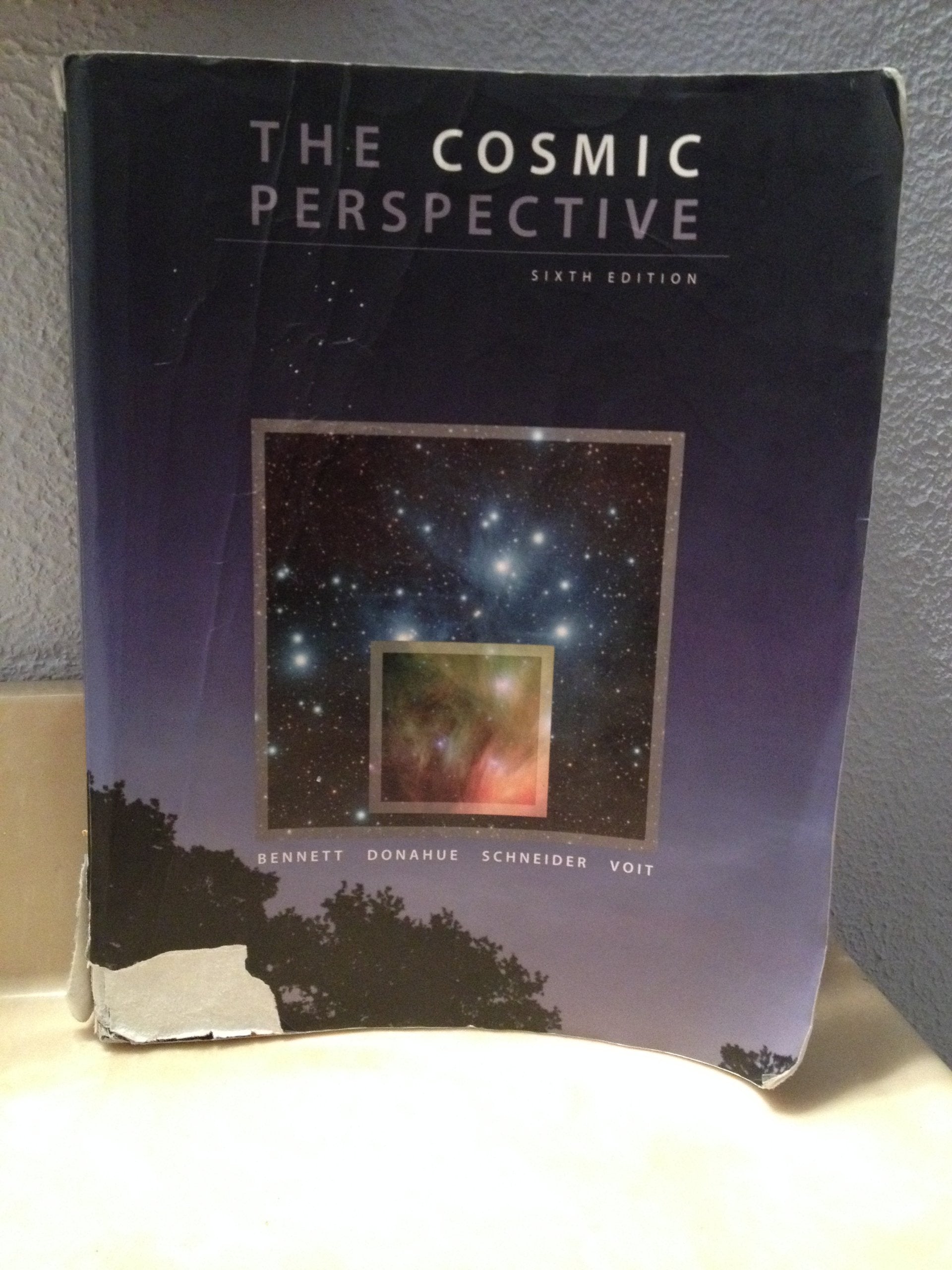 The Cosmic Perspective