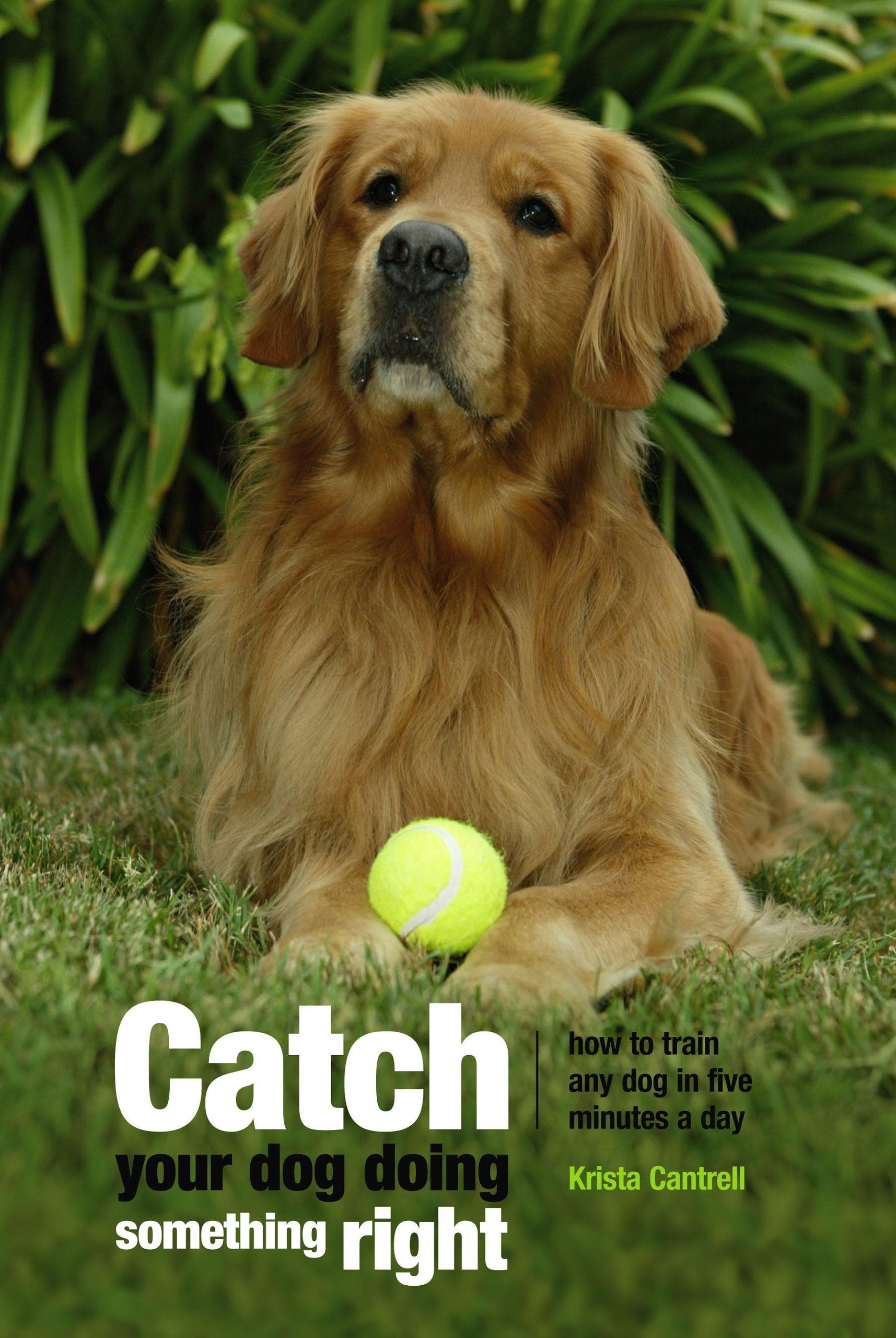 Catch Your Dog Doing Something Right: How To Train Any Dog In Five Minutes A Day,Used