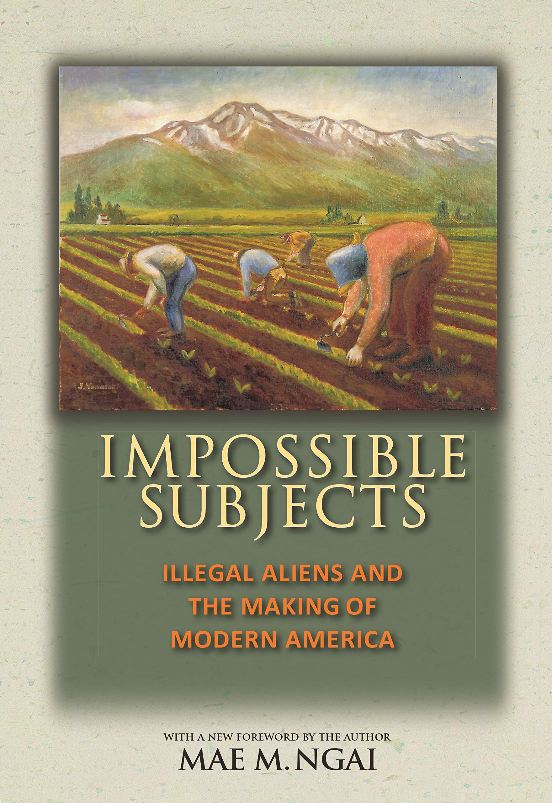 Impossible Subjects: Illegal Aliens And The Making Of Modern America  Updated Edition (Politics And Society In Modern America)