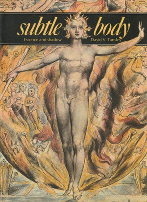 Subtle Body: Essence and Shadow (Art and Imagination),Used