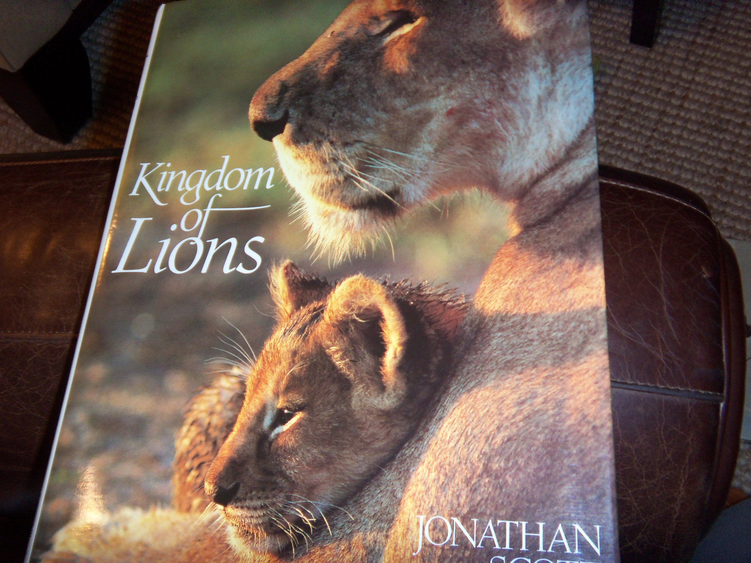 Kingdom of Lions,New
