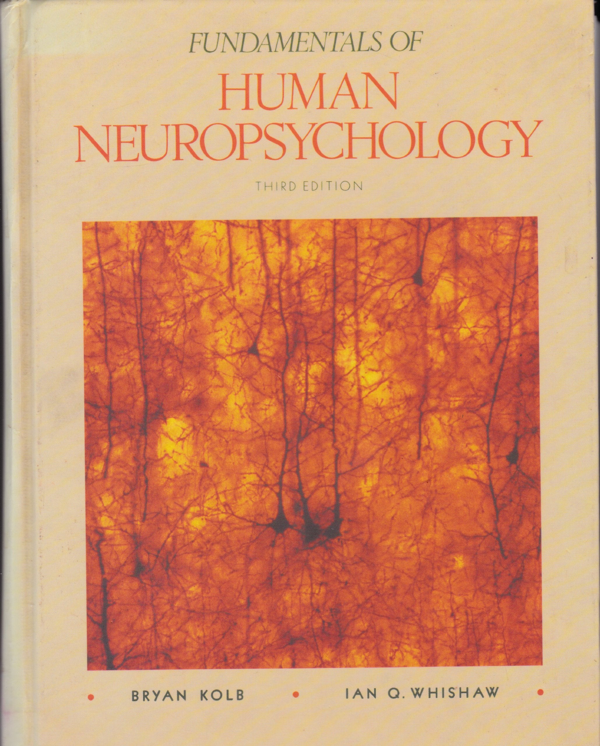 Fundamentals Of Human Neuropsychology (Series Of Books In Psychology)-new,New