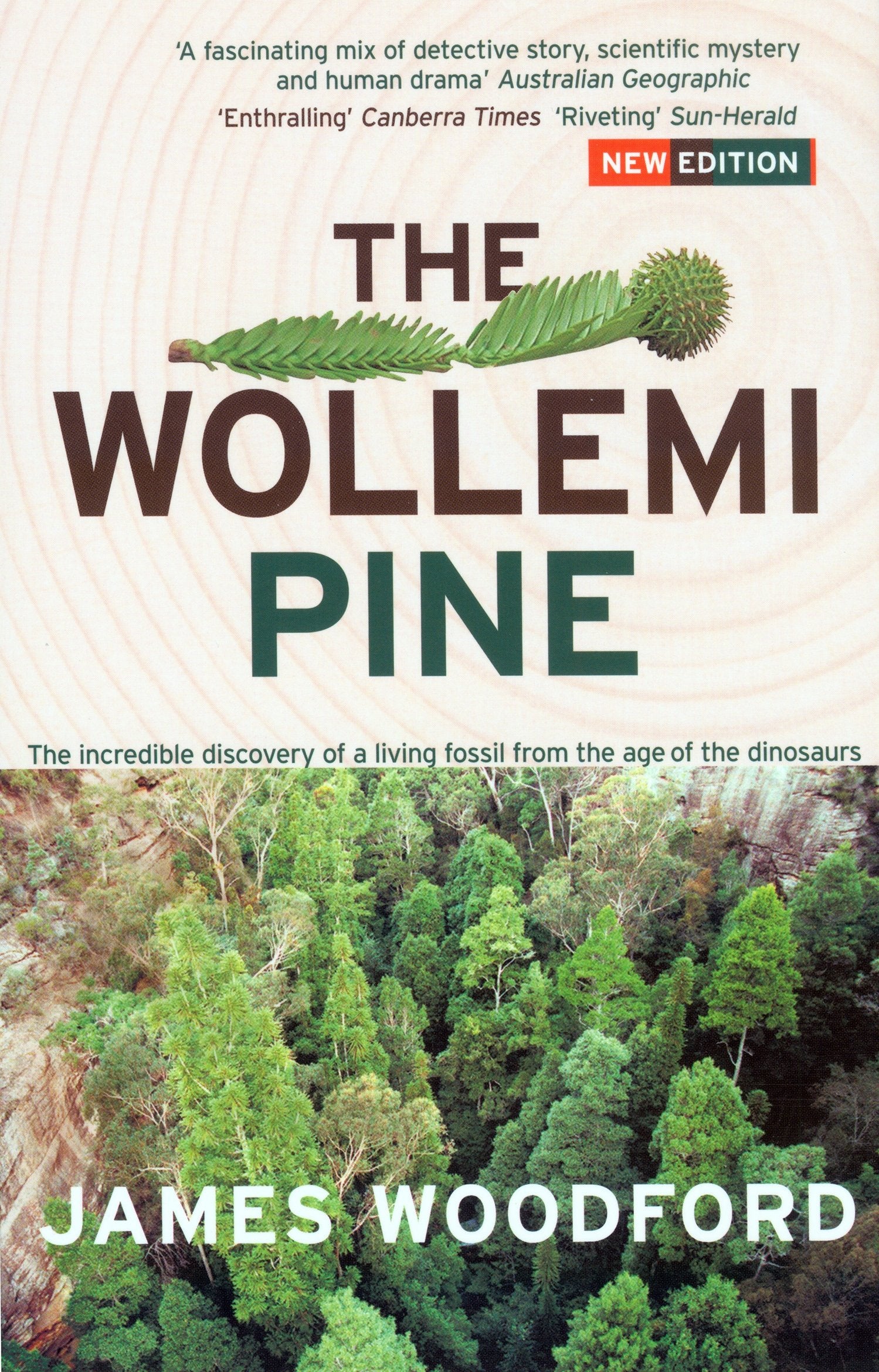The Wollemi Pine: The Incredible Discovery of a Living Fossil from the Age of the Dinosaurs,Used