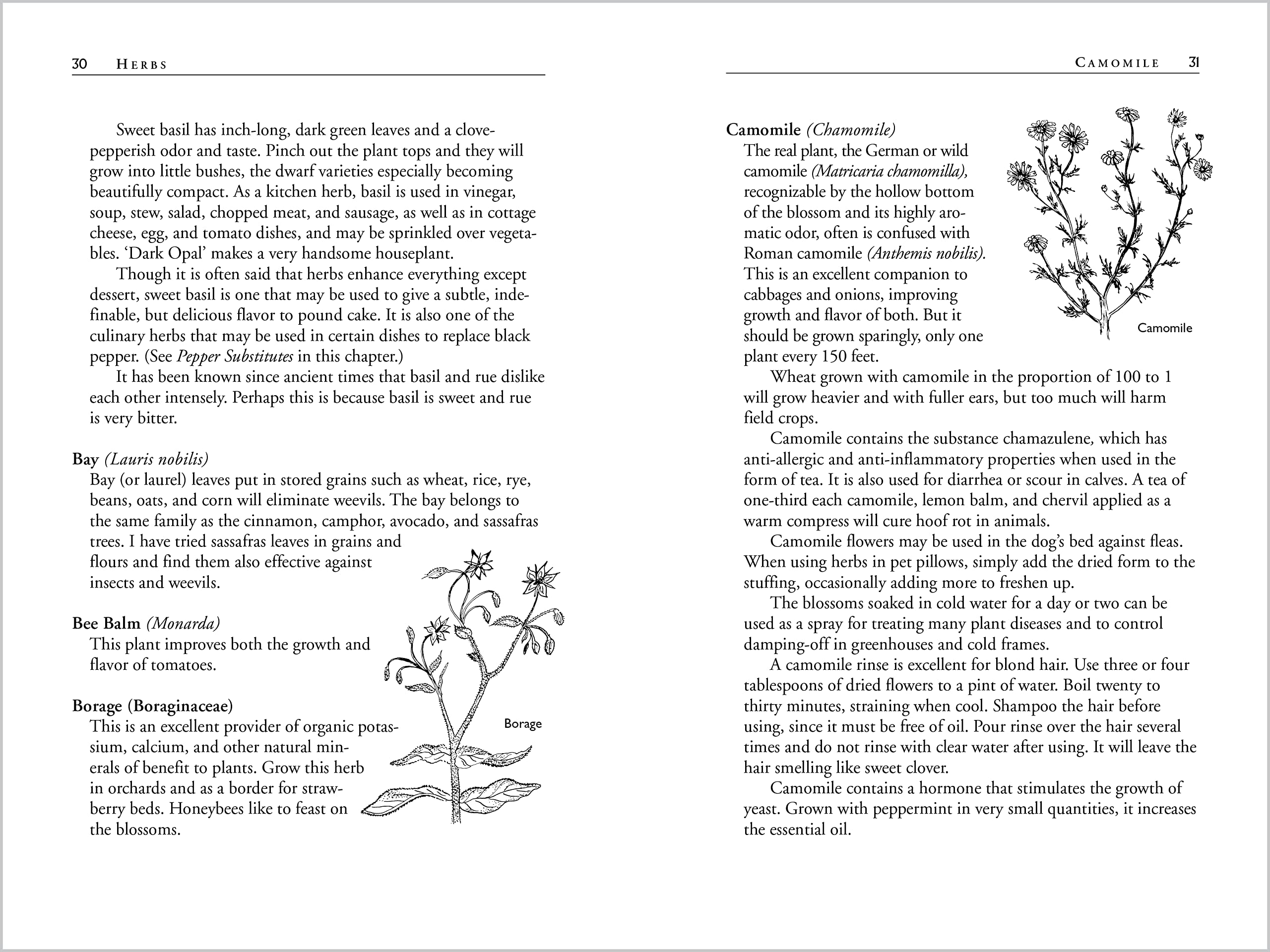 Carrots Love Tomatoes: Secrets of Companion Planting for Successful Gardening,New