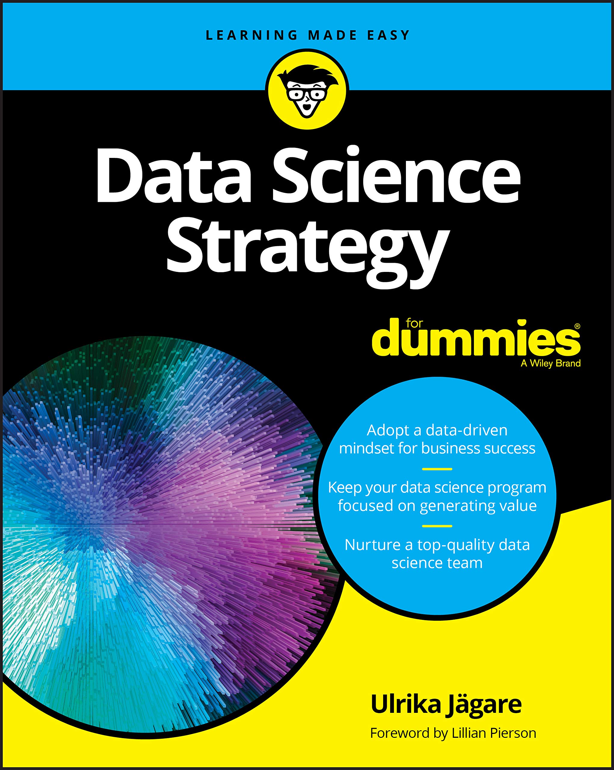 Data Science Strategy For Dummies,Used