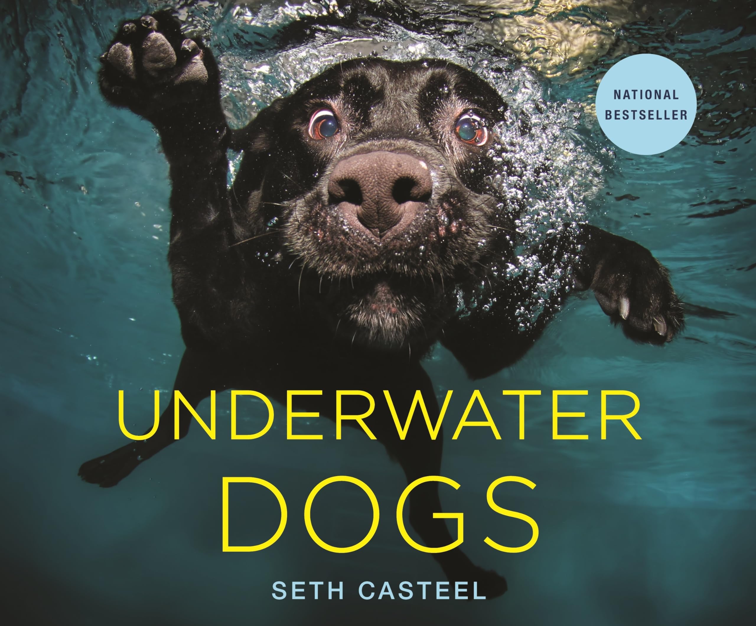 Underwater Dogs,Used