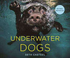Underwater Dogs,Used