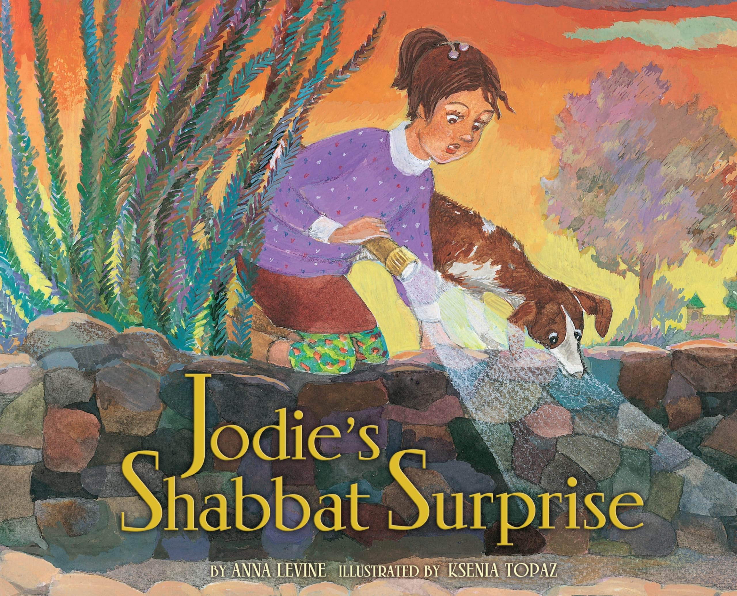 Jodie's Shabbat Surprise,Used