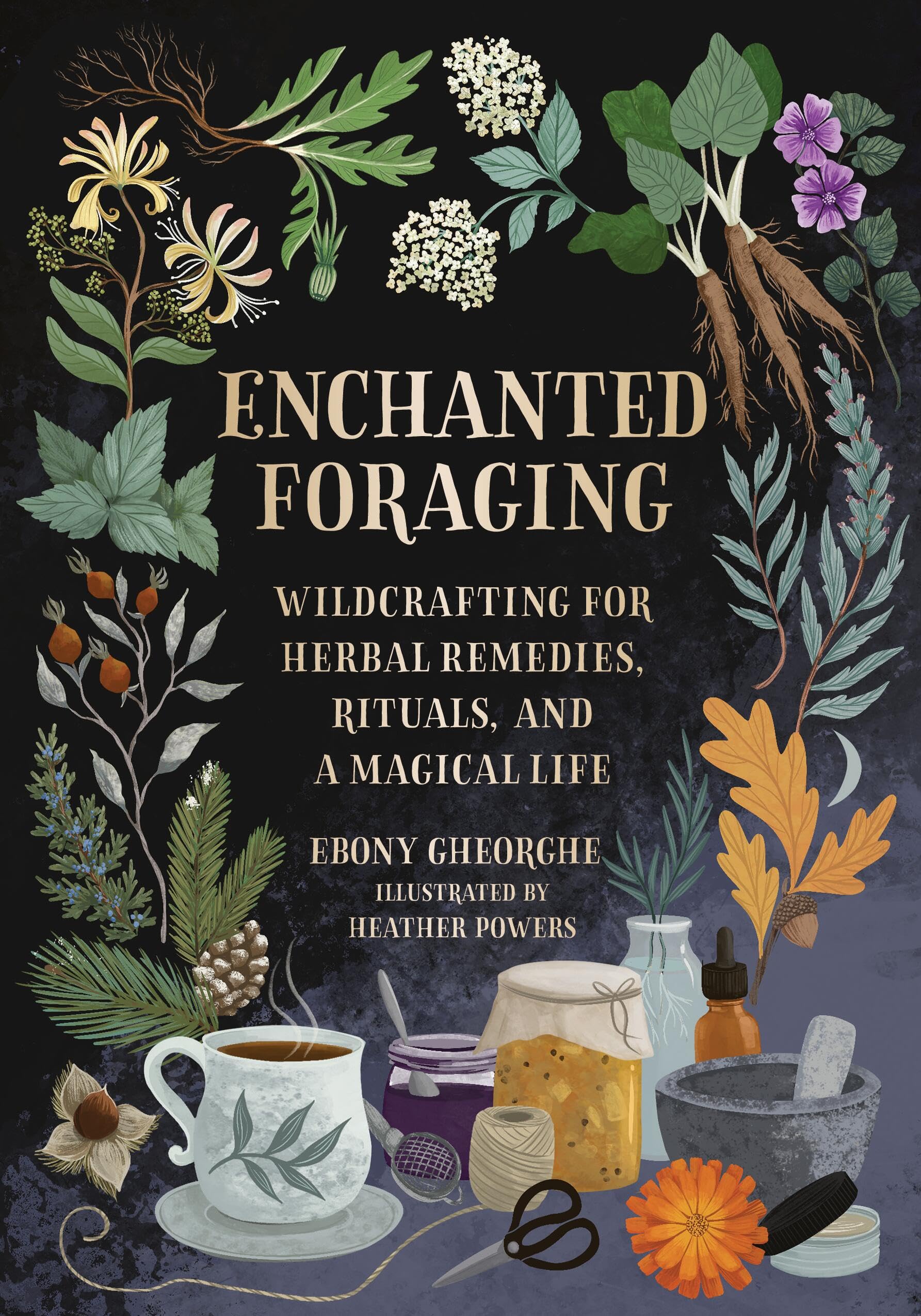 Enchanted Foraging: Wildcrafting for Herbal Remedies, Rituals, and a Magical Life,New