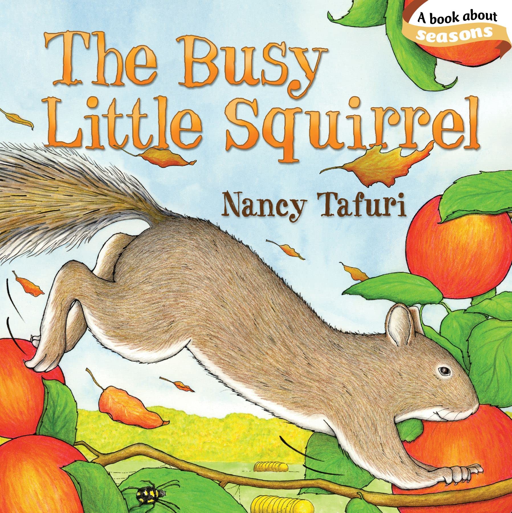 The Busy Little Squirrel (Classic Board Books),New