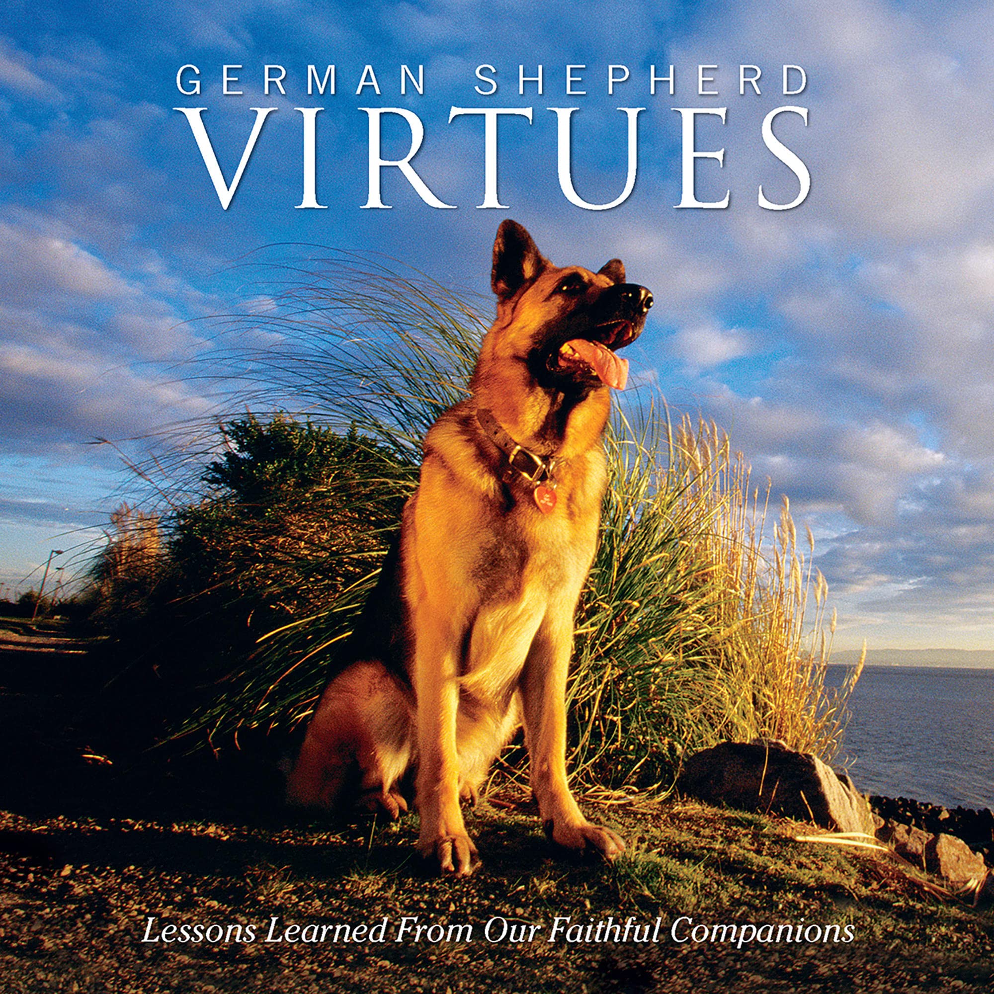 German Shepherd Virtues: Lessons Learned from Our Faithful Companions,Used