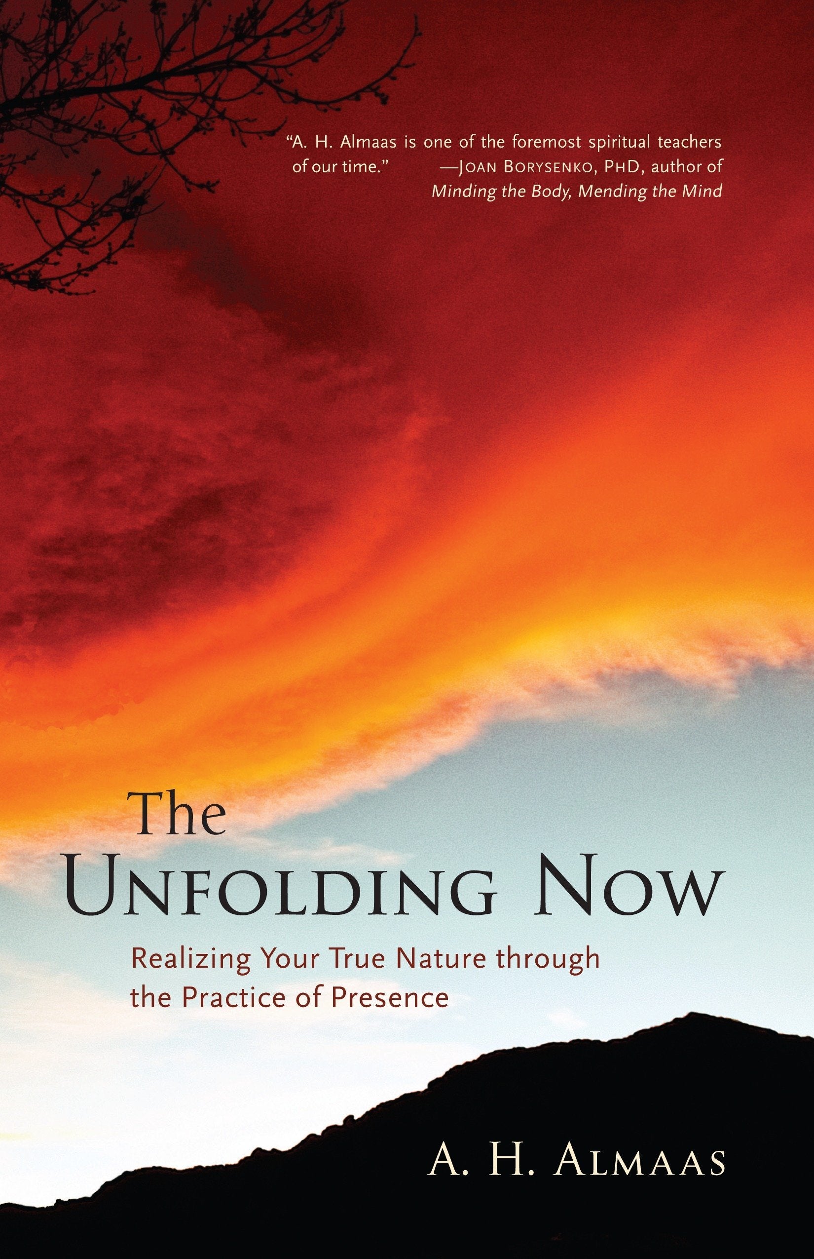 The Unfolding Now: Realizing Your True Nature through the Practice of Presence,New