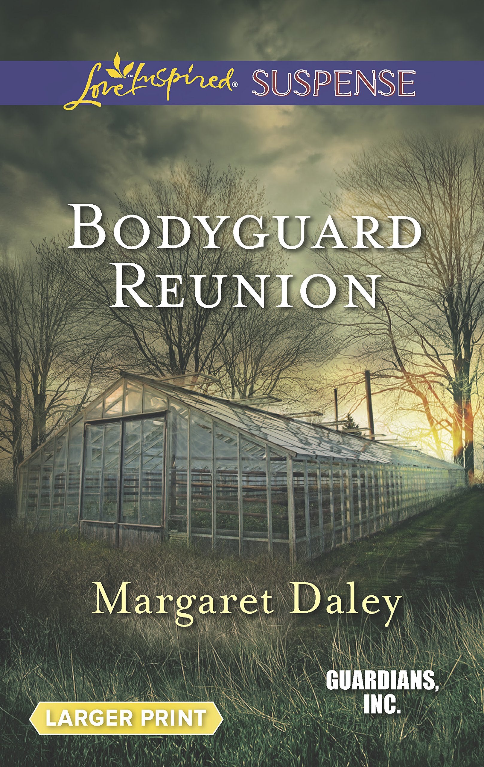 Bodyguard Reunion (Guardians, Inc., 6),Used