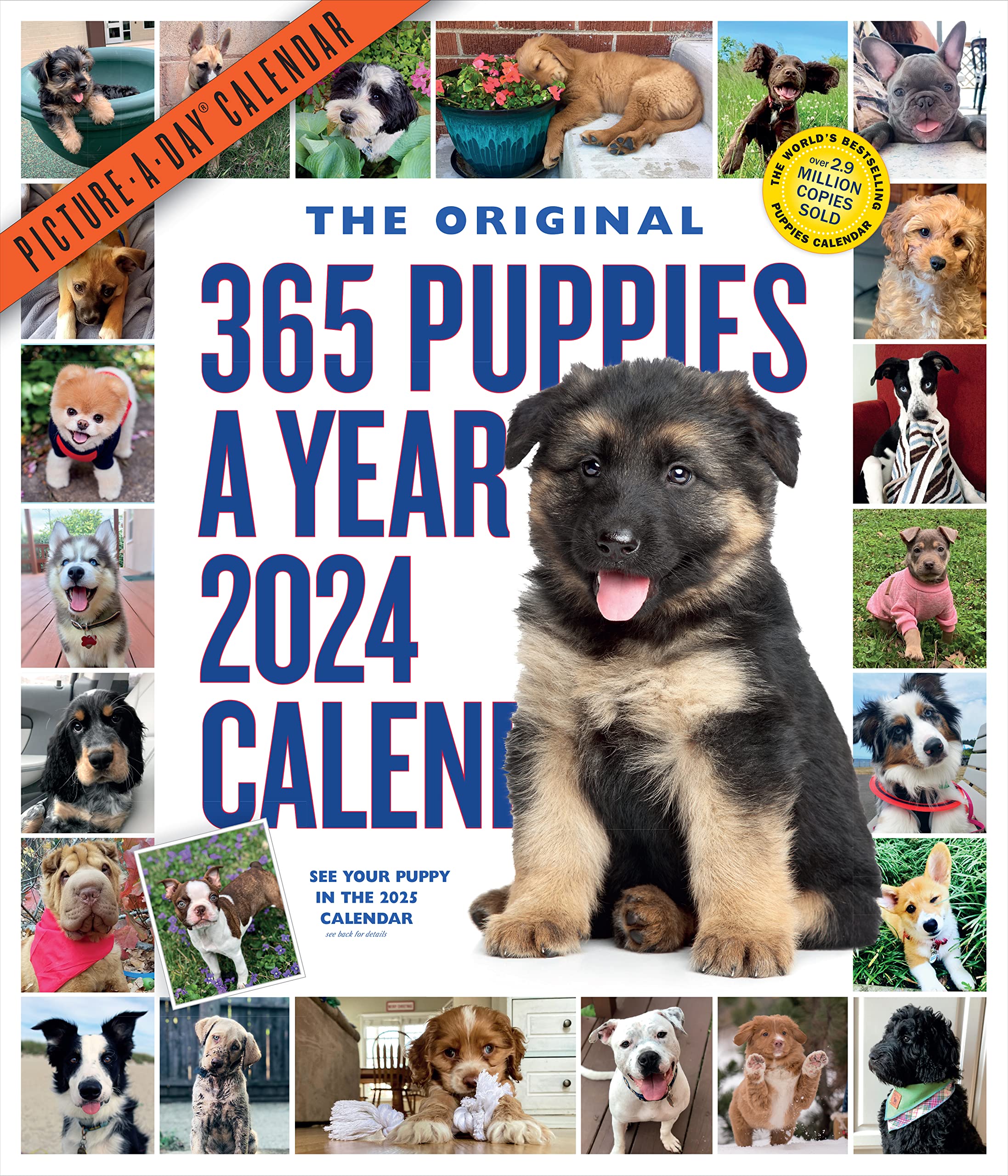 365 Puppiesayear Pictureaday Wall Calendar 2024: Absolutely Spilling Over With Puppies