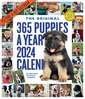 365 Puppiesayear Pictureaday Wall Calendar 2024: Absolutely Spilling Over With Puppies