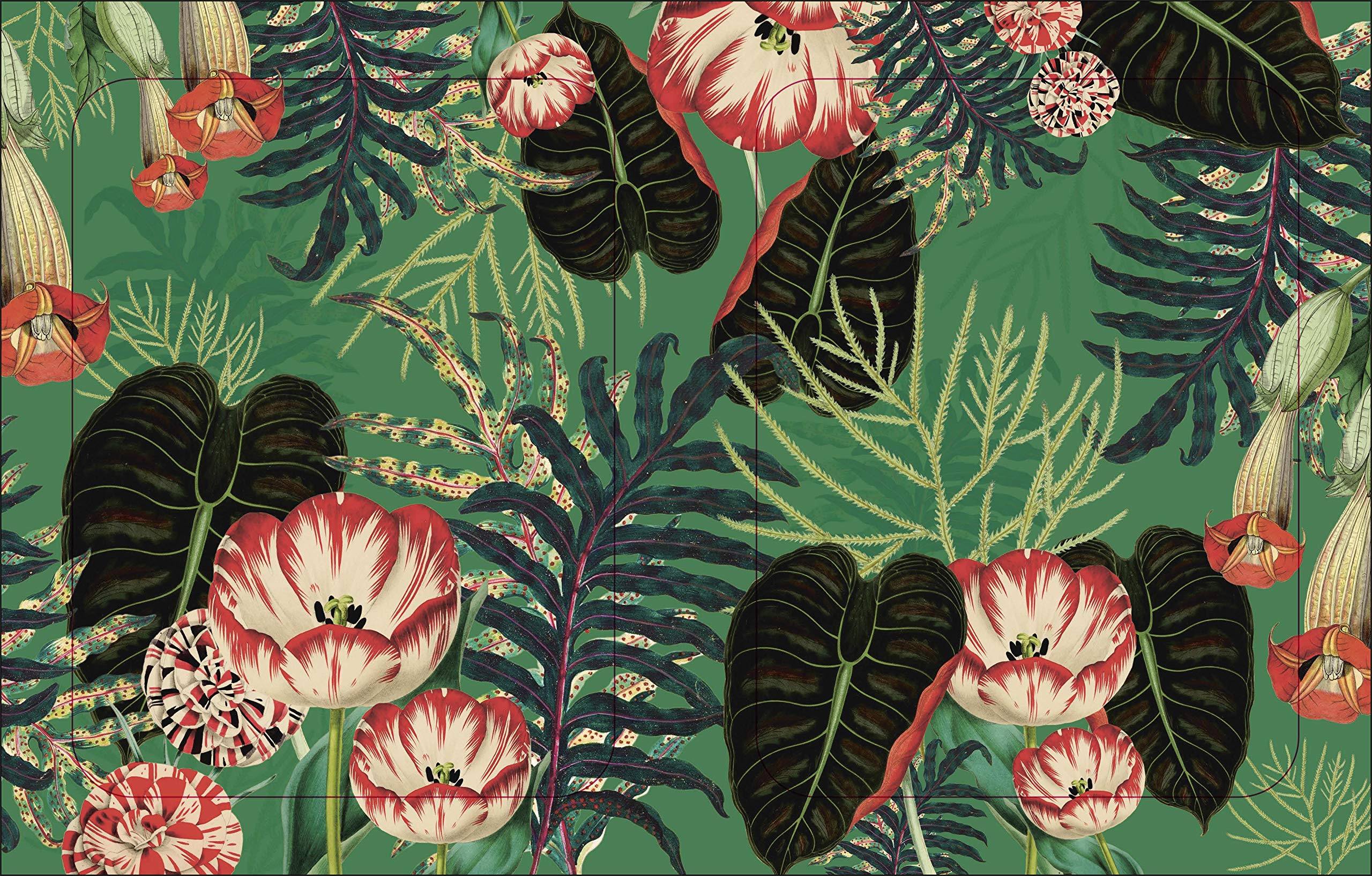 The Botanist'S Sticker Anthology (Dk Sticker Anthology),New