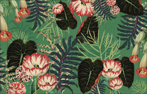 The Botanist'S Sticker Anthology (Dk Sticker Anthology),New