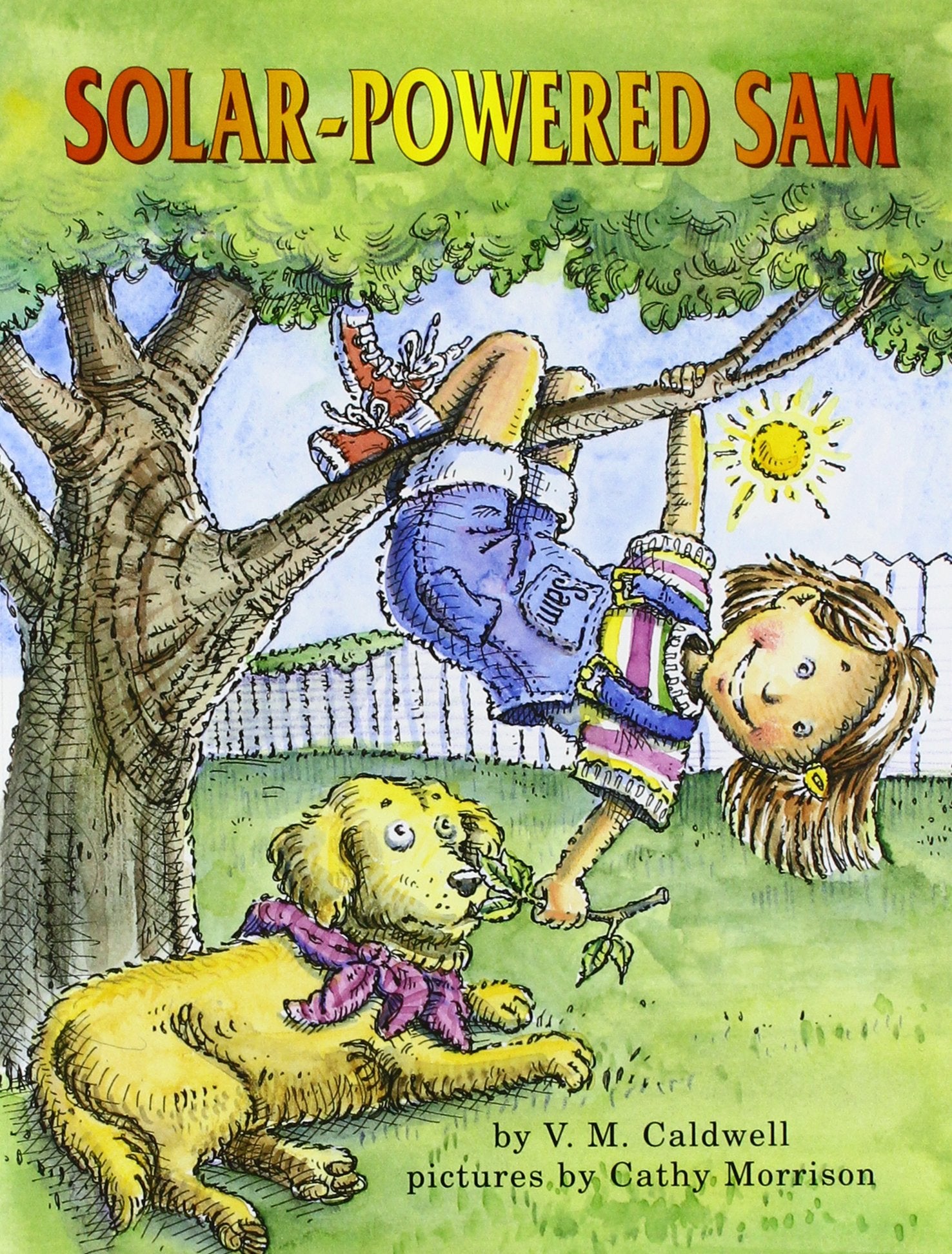 SolarPowered Sam (Books for Young Learners),Used
