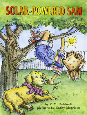 SolarPowered Sam (Books for Young Learners),Used