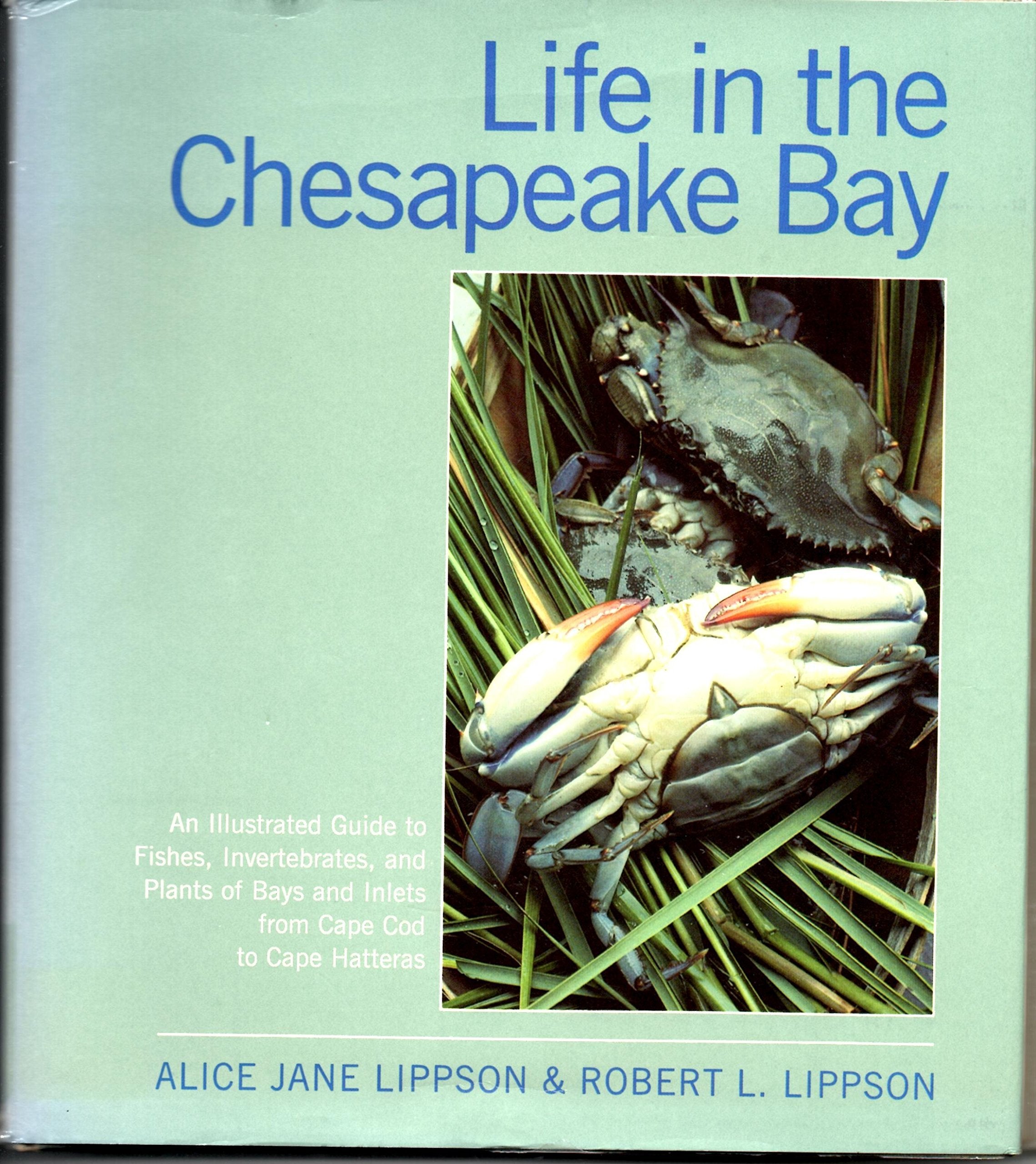 Life in the Chesapeake Bay,Used