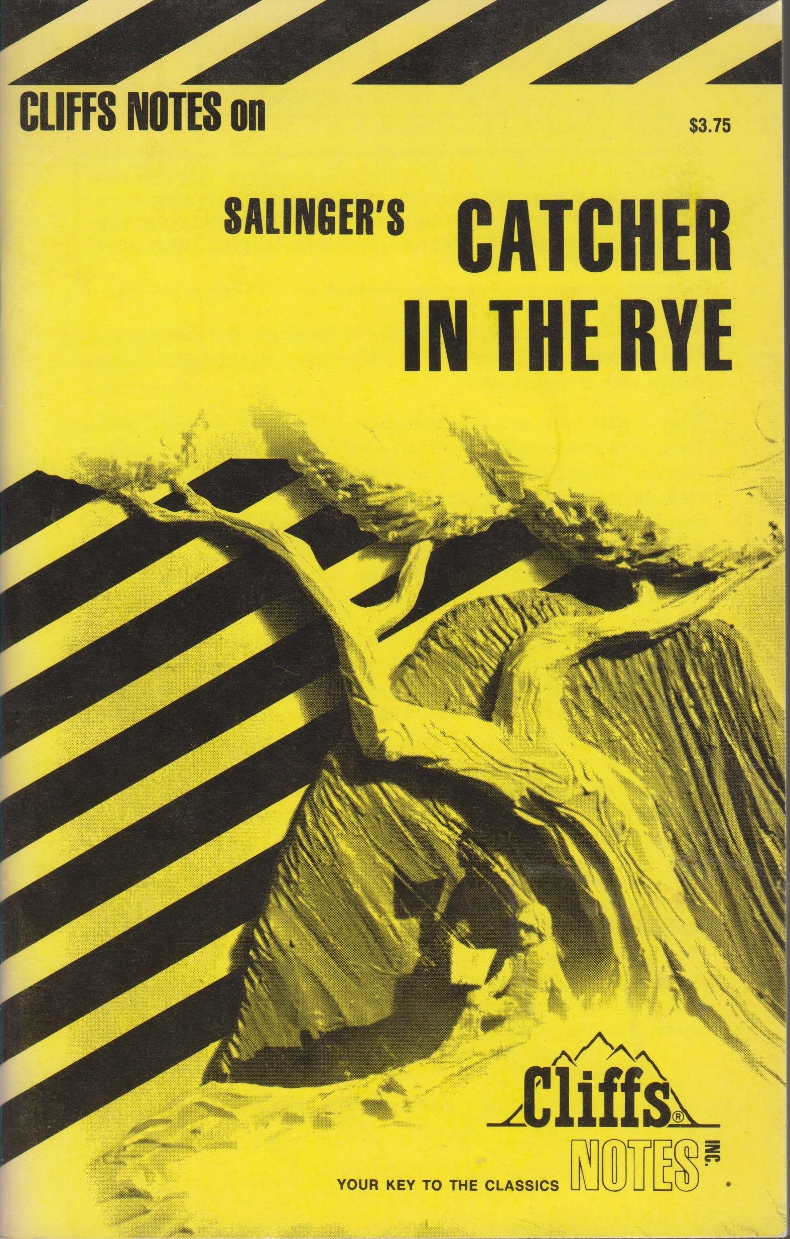 Salinger'S The Catcher In The Rye (Cliffs Notes)
