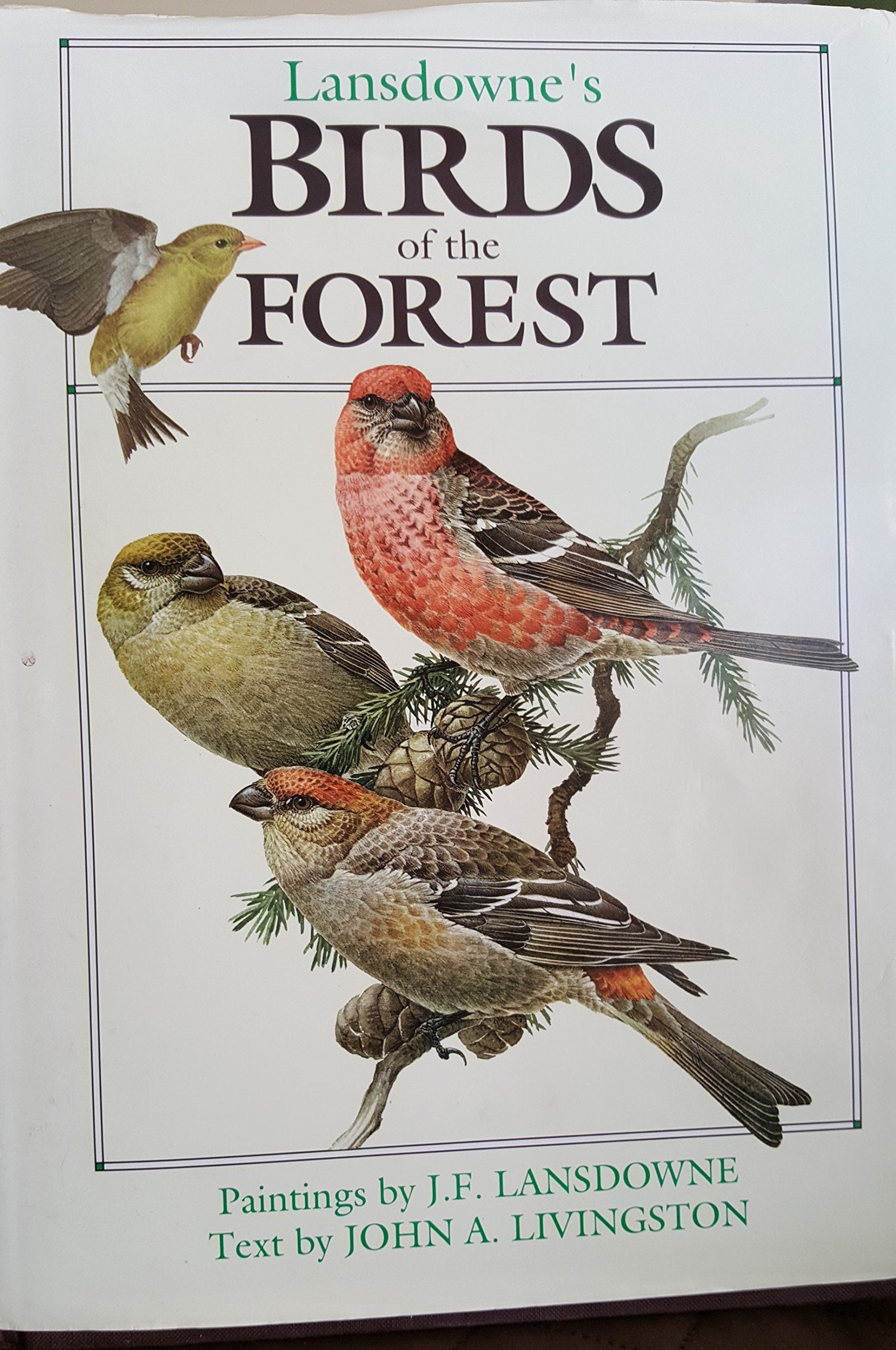 Birds of the Forest,New