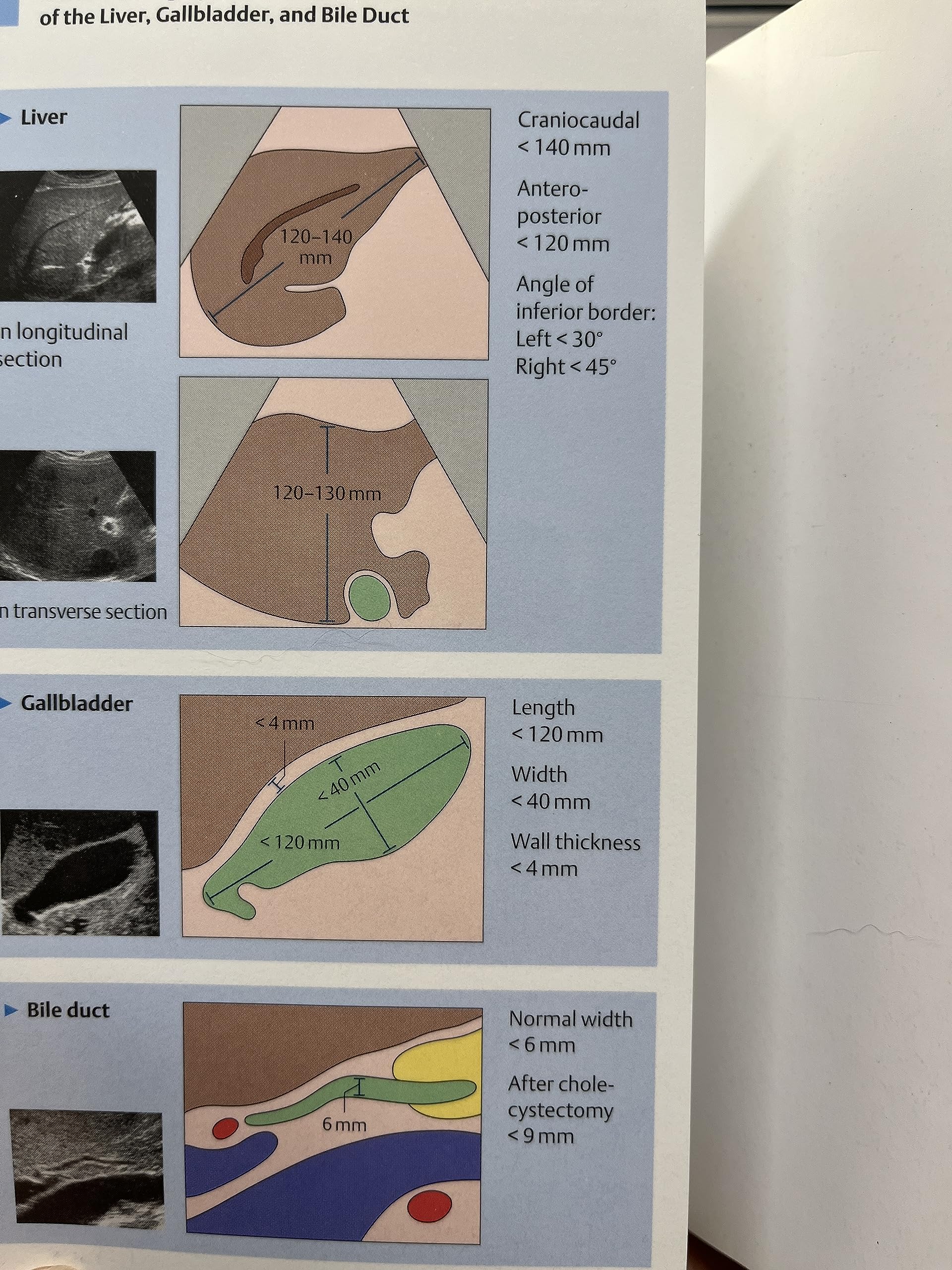 Color Atlas Of Ultrasound Anatomy