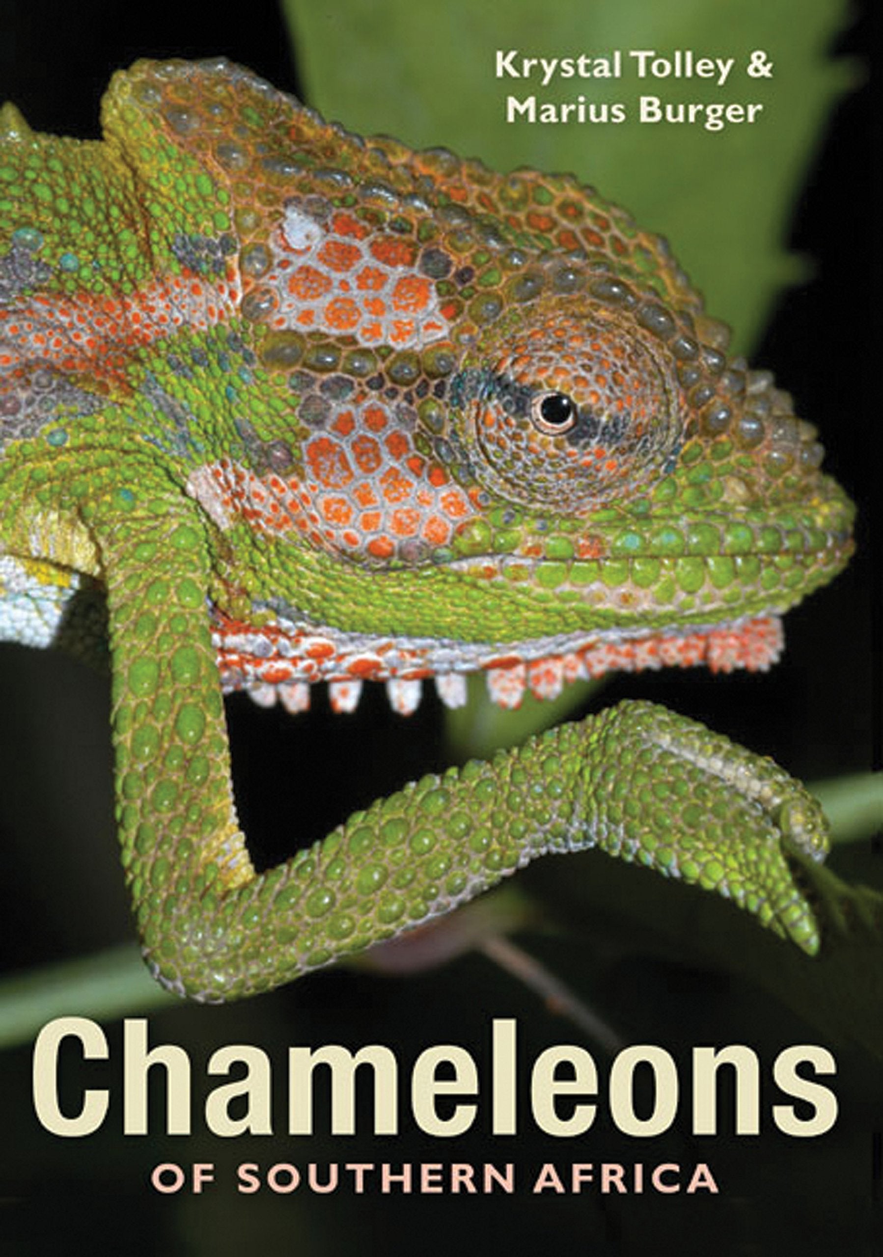Chameleons of Southern Africa,Used