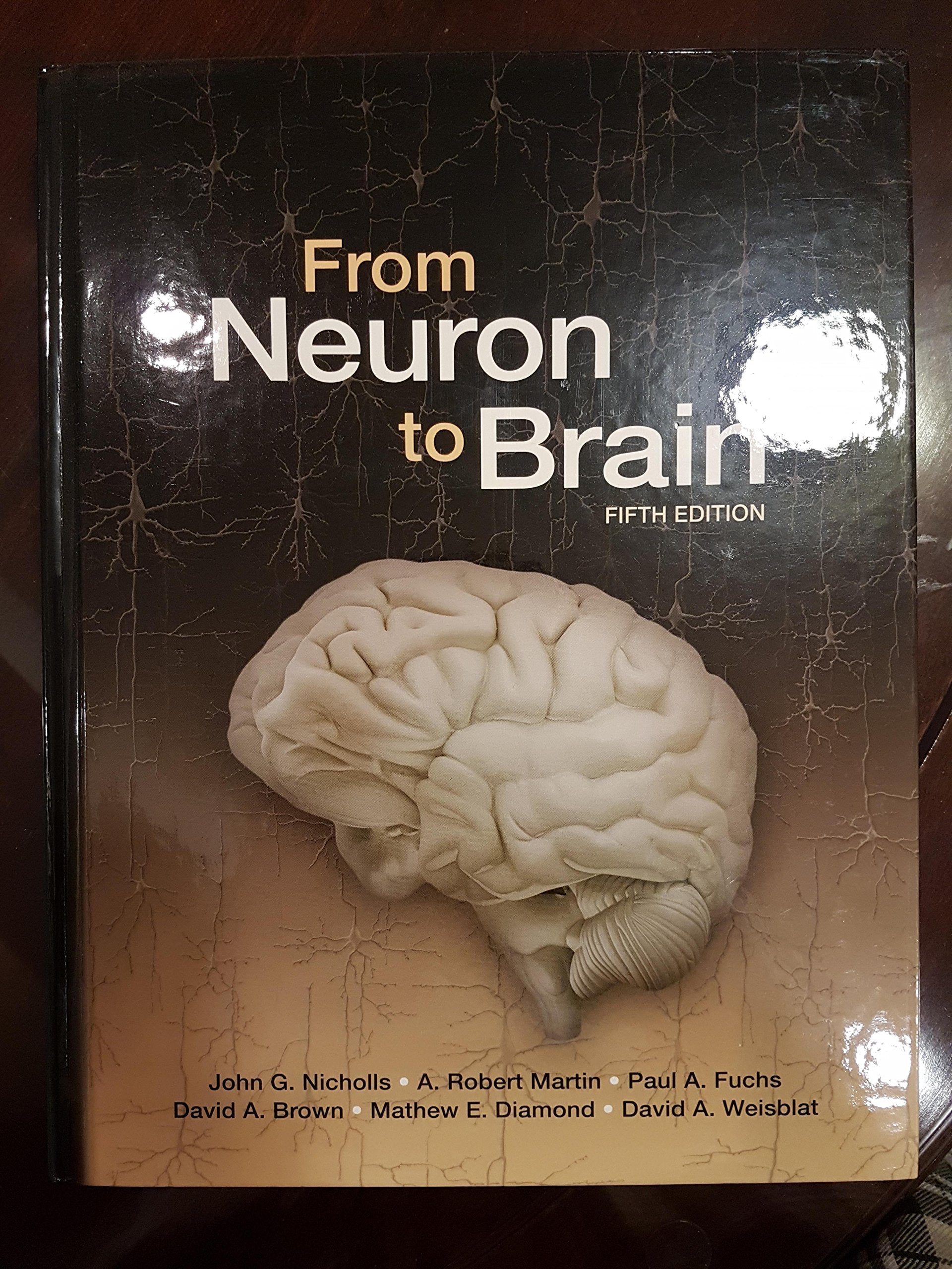 From Neuron To Brain,Used