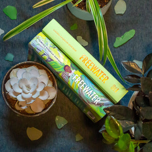 Freewater (Newbery & Coretta Scott King Award Winner),Used