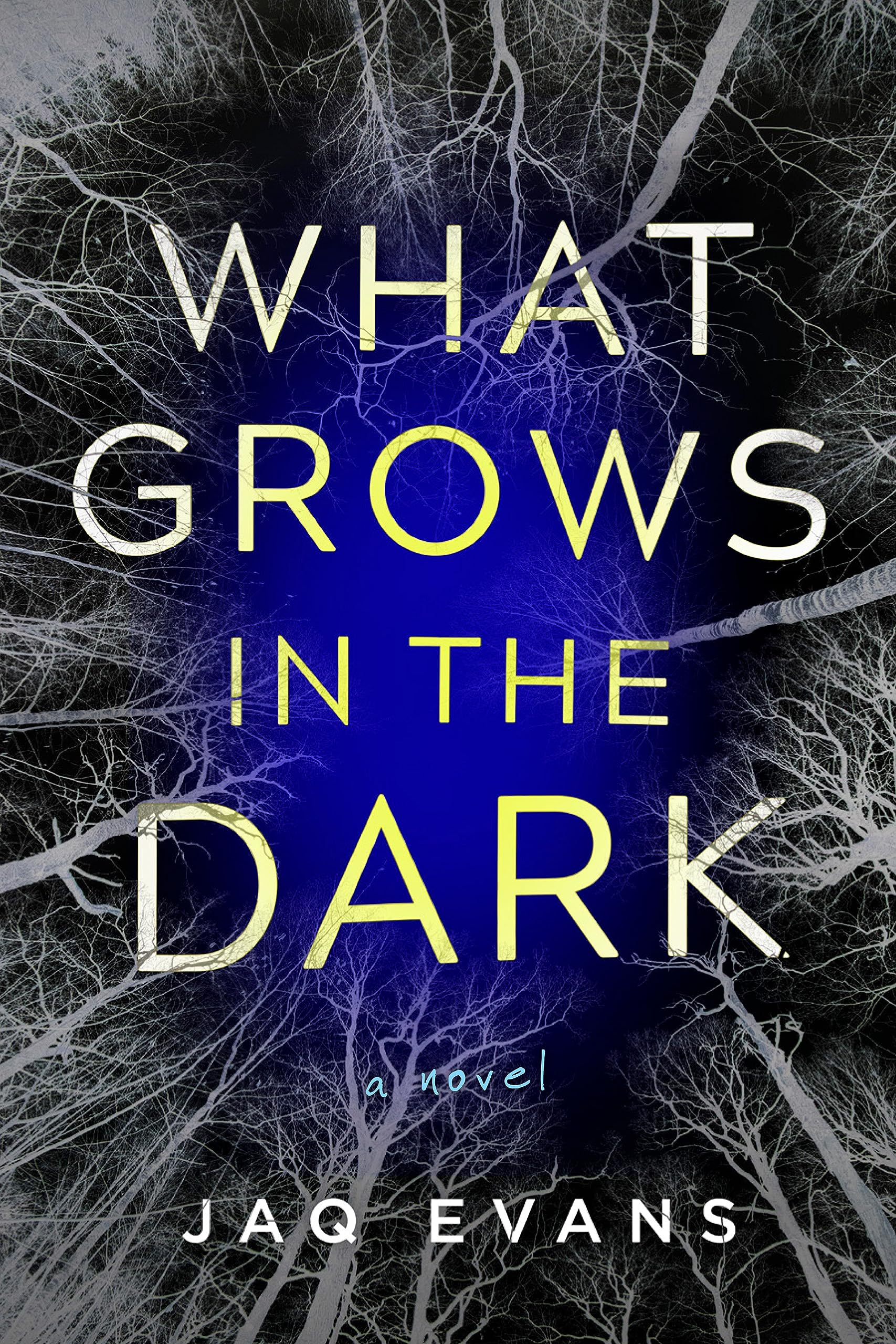 What Grows In The Dark: A Novel,Used