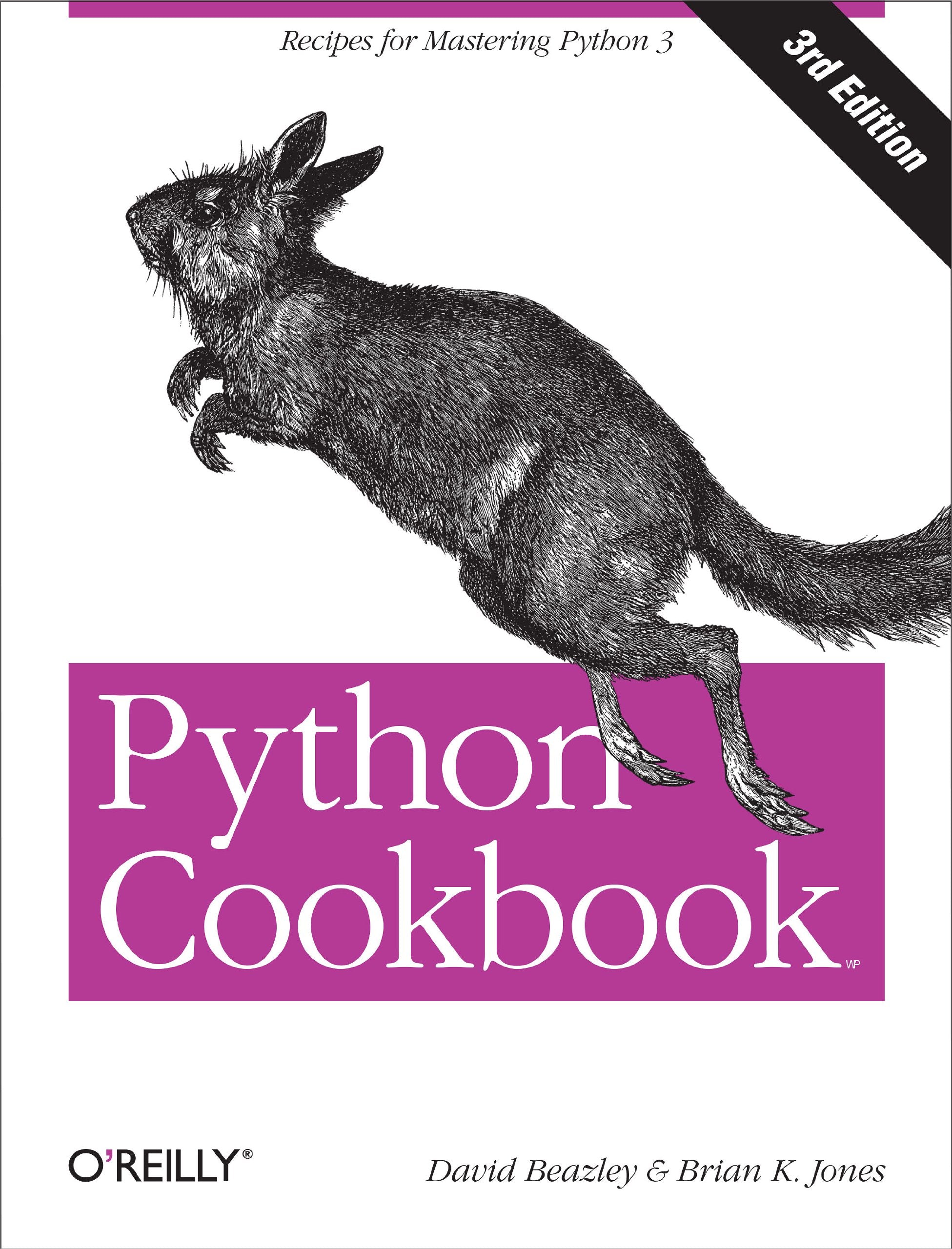 Python Cookbook: Recipes for Mastering Python 3,New