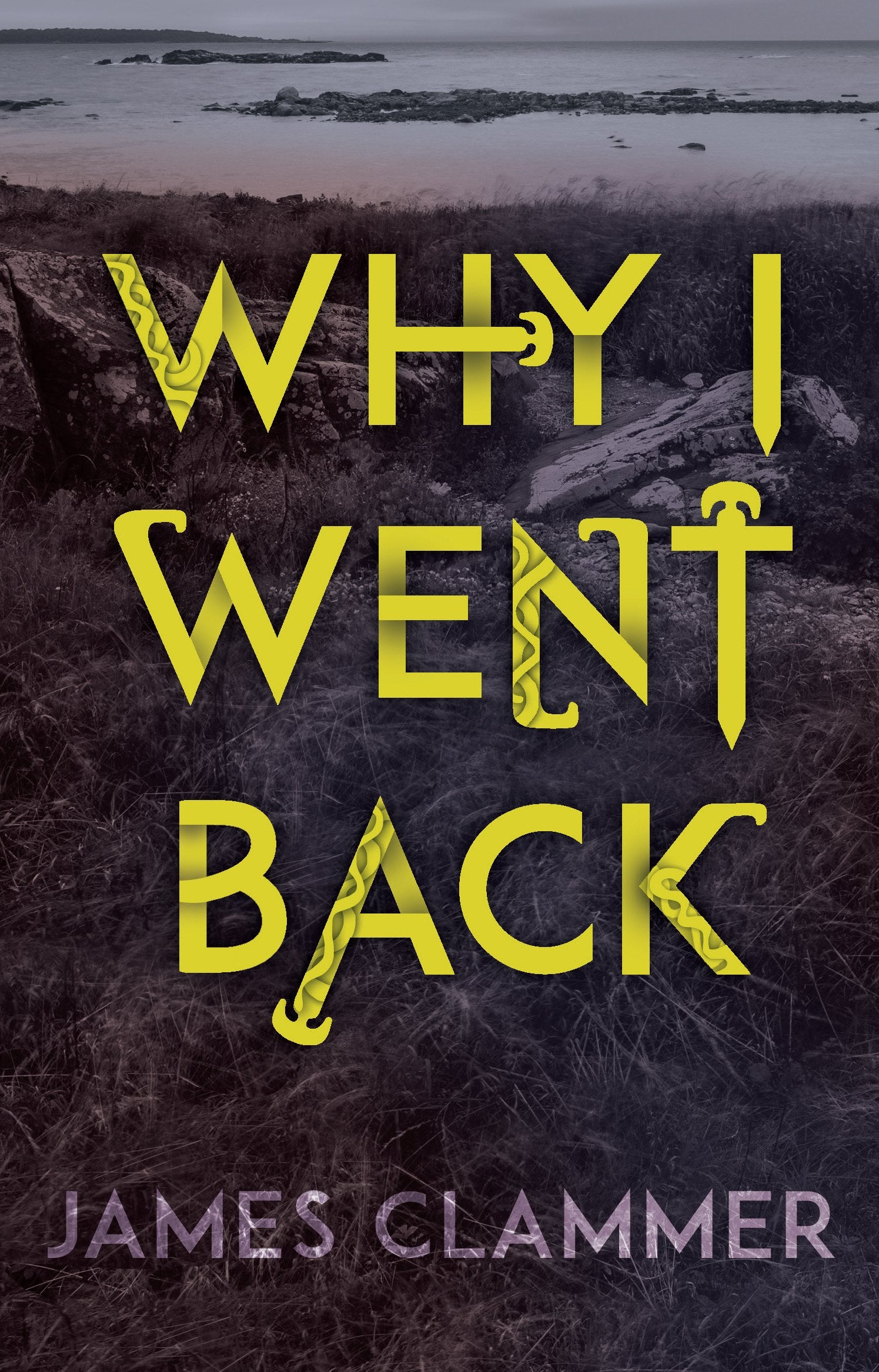 Why I Went Back,Used