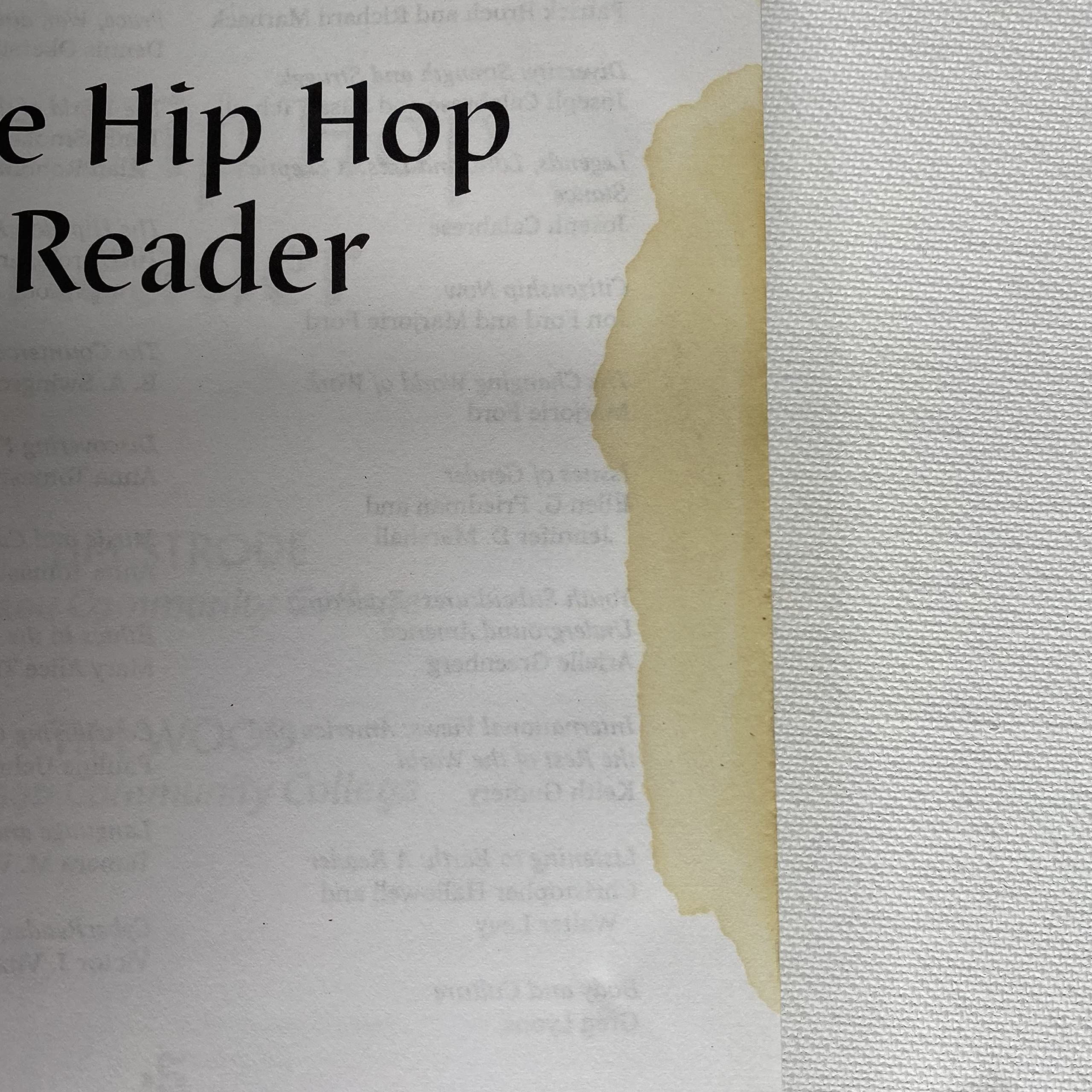 Hip Hop Reader, The, A Longman Topics Reader,Used