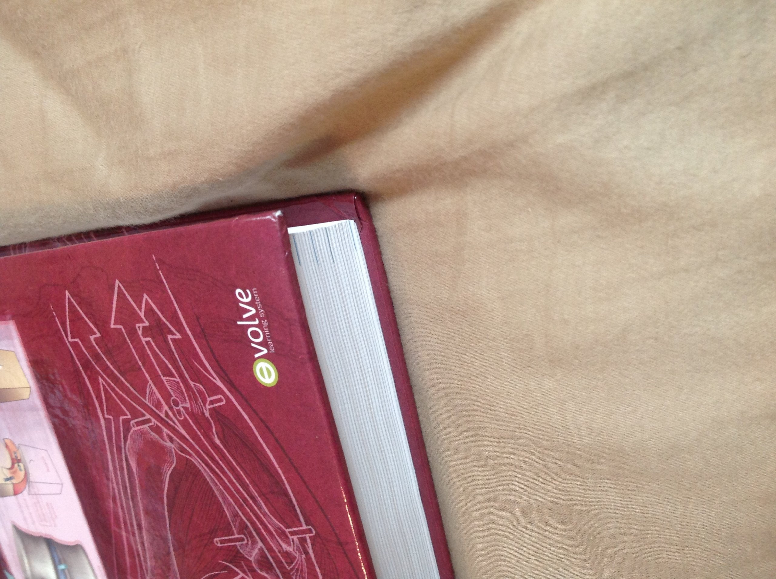 Kinesiology Of The Musculoskeletal System: Foundations For Rehabilitation