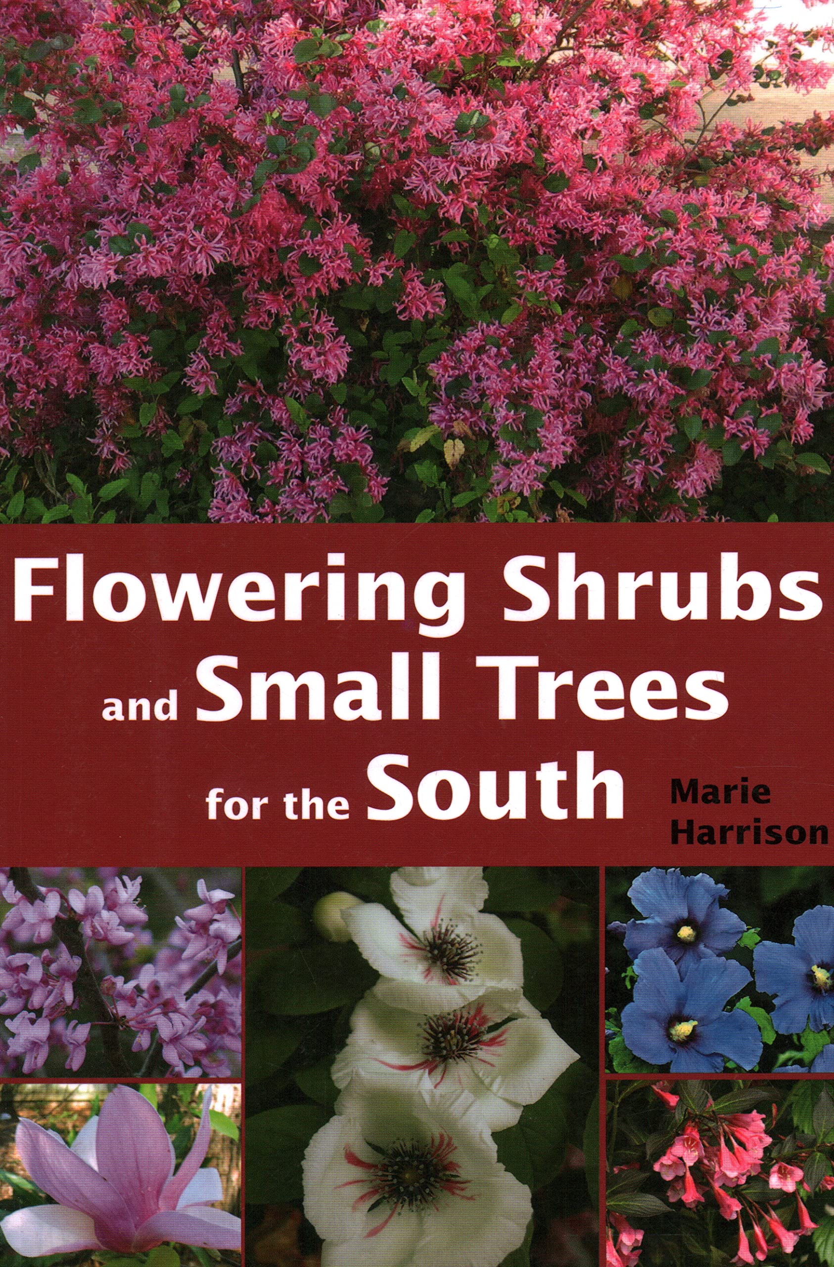 Flowering Shrubs and Small Trees for the South,Used