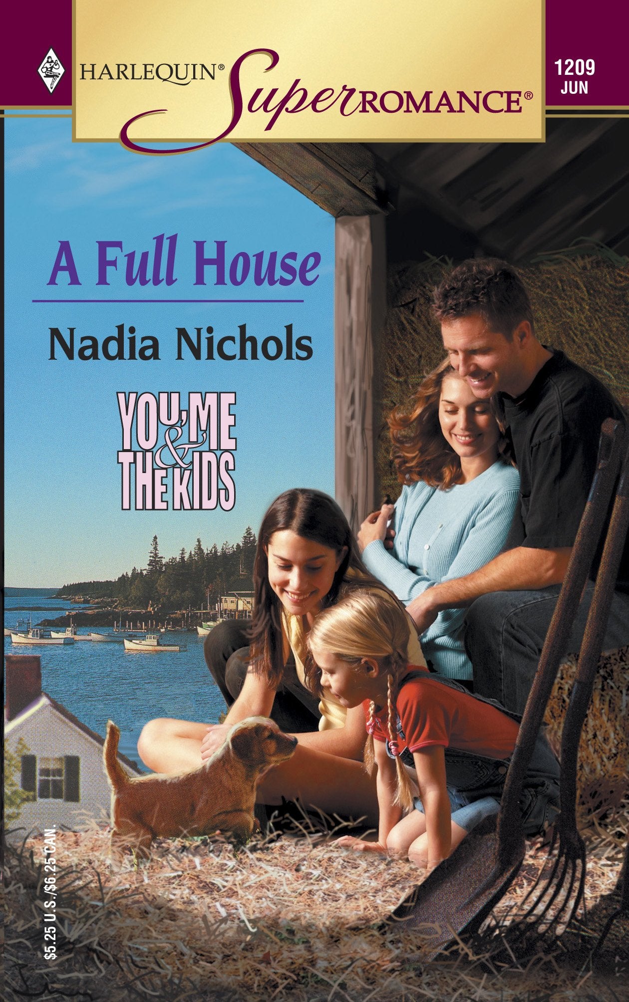 A Full House: You, Me & the Kids (Harlequin Superromance No. 1209),Used