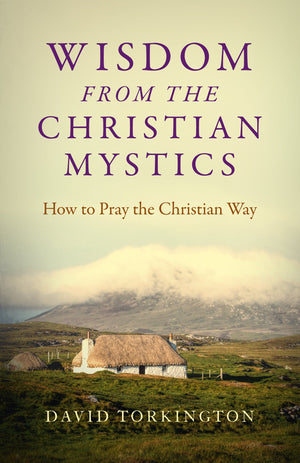 Wisdom from the Christian Mystics: How to Pray the Christian Way,Used