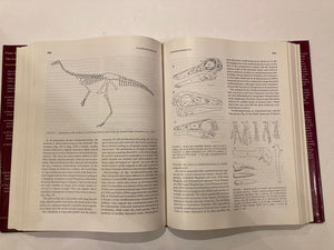 Encyclopedia of Dinosaurs,Used